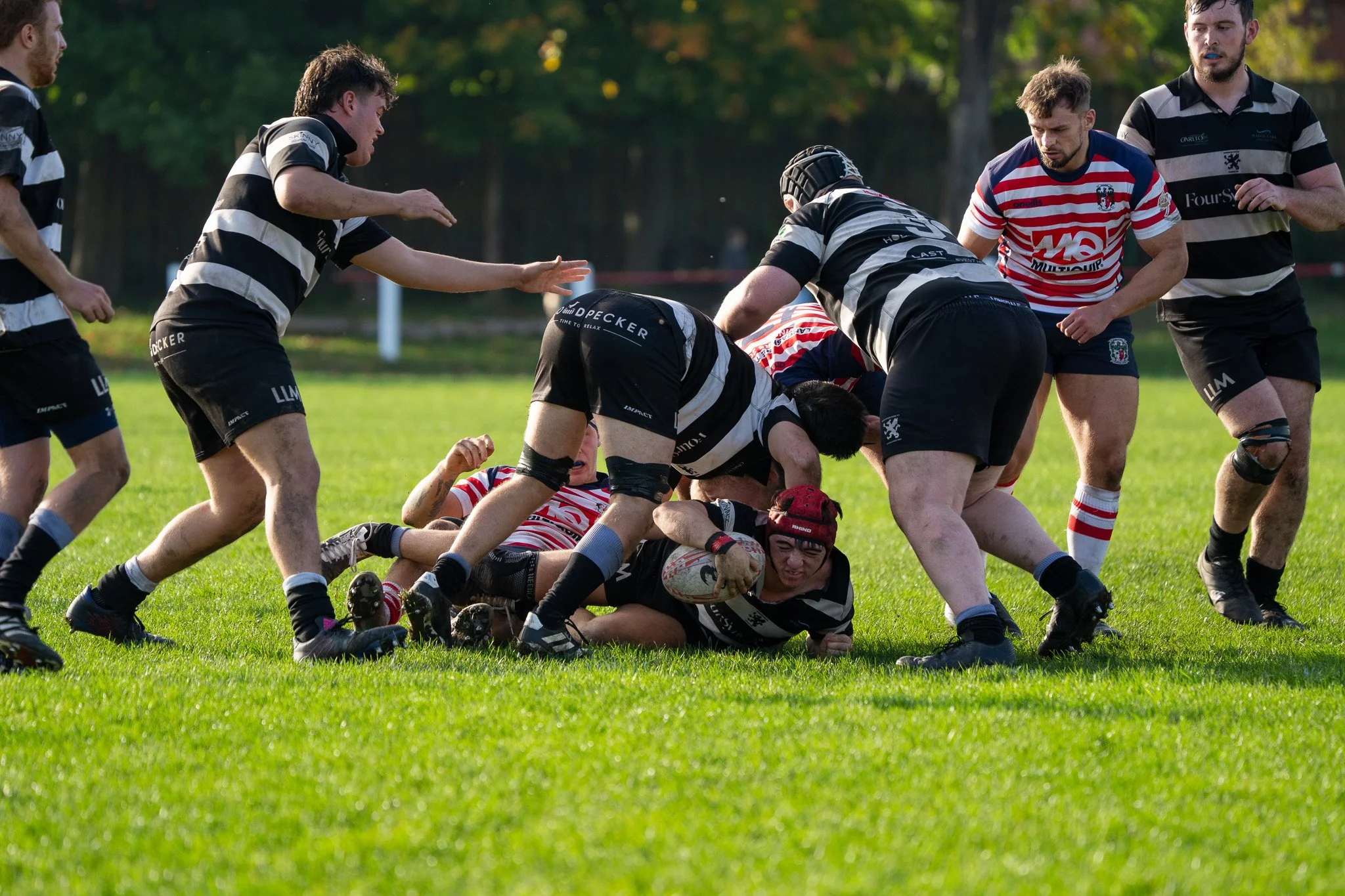 DSC07786.jpg
