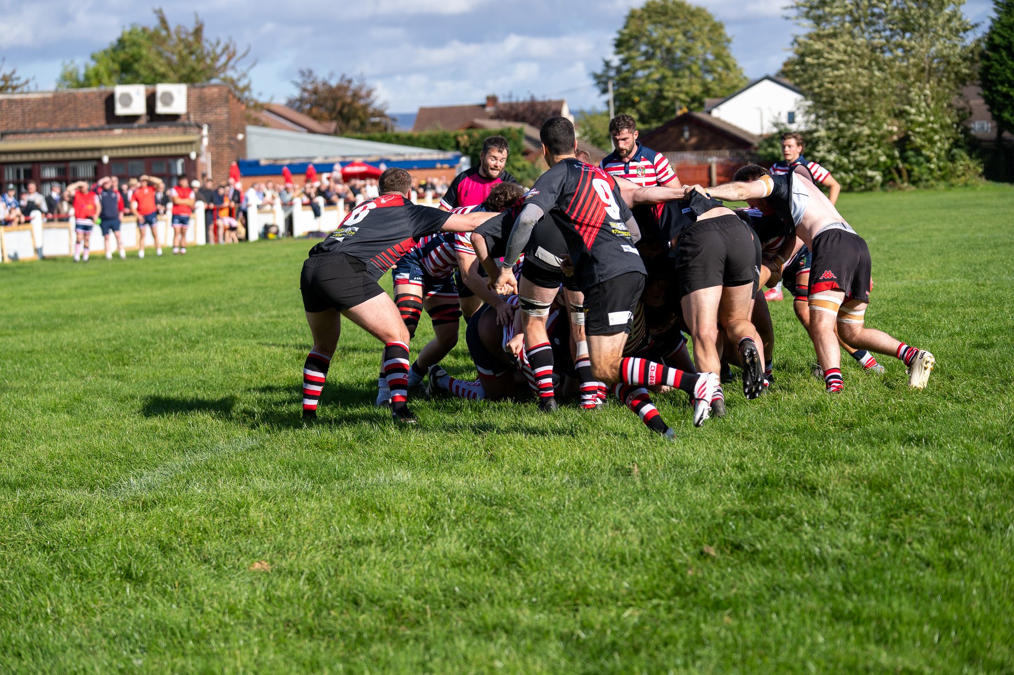 DSC03407.jpg