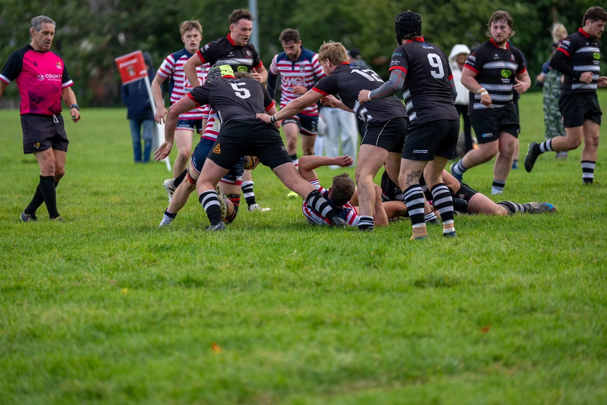 DSC04488.jpg
