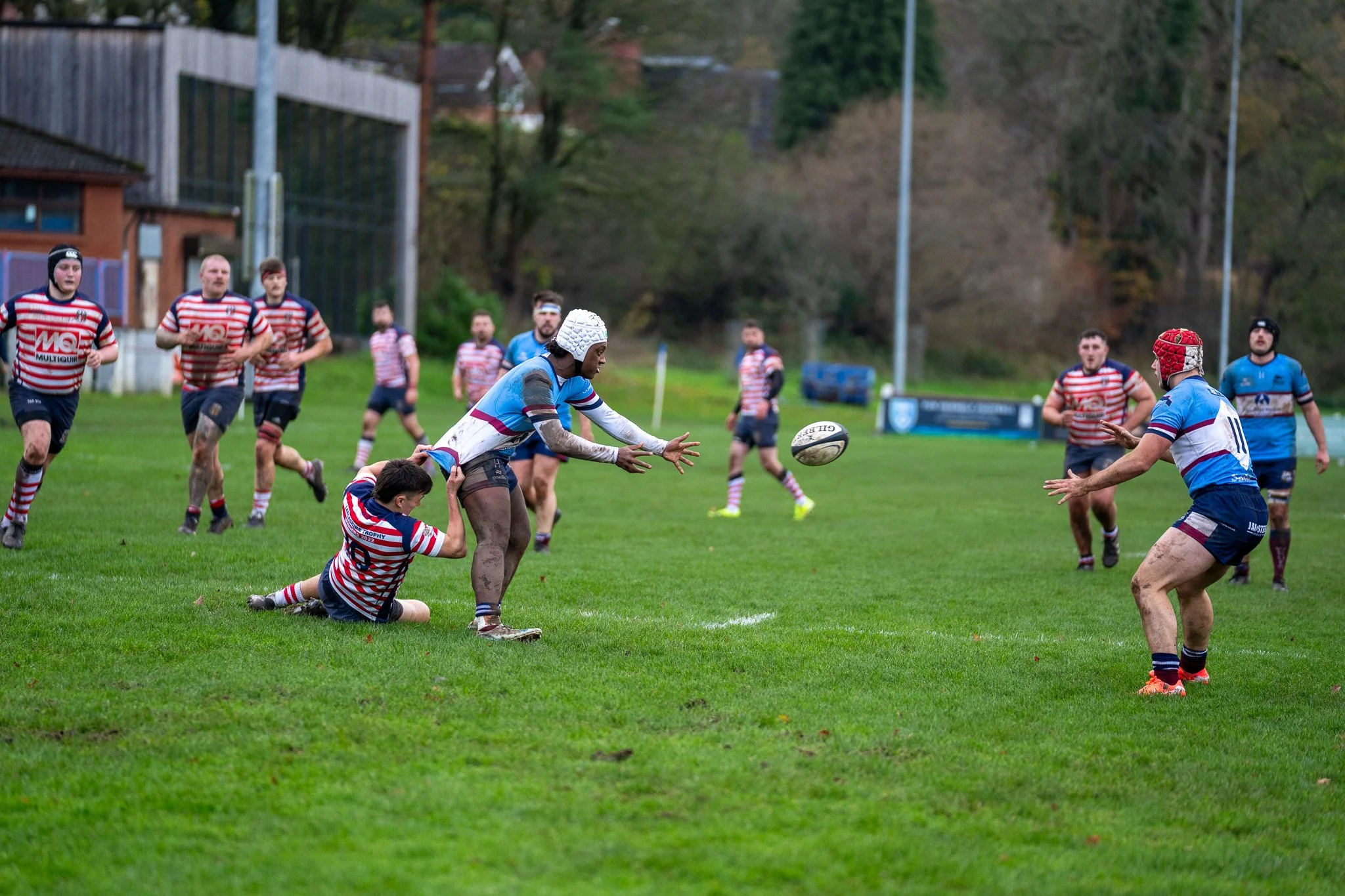 DSC04751.jpg