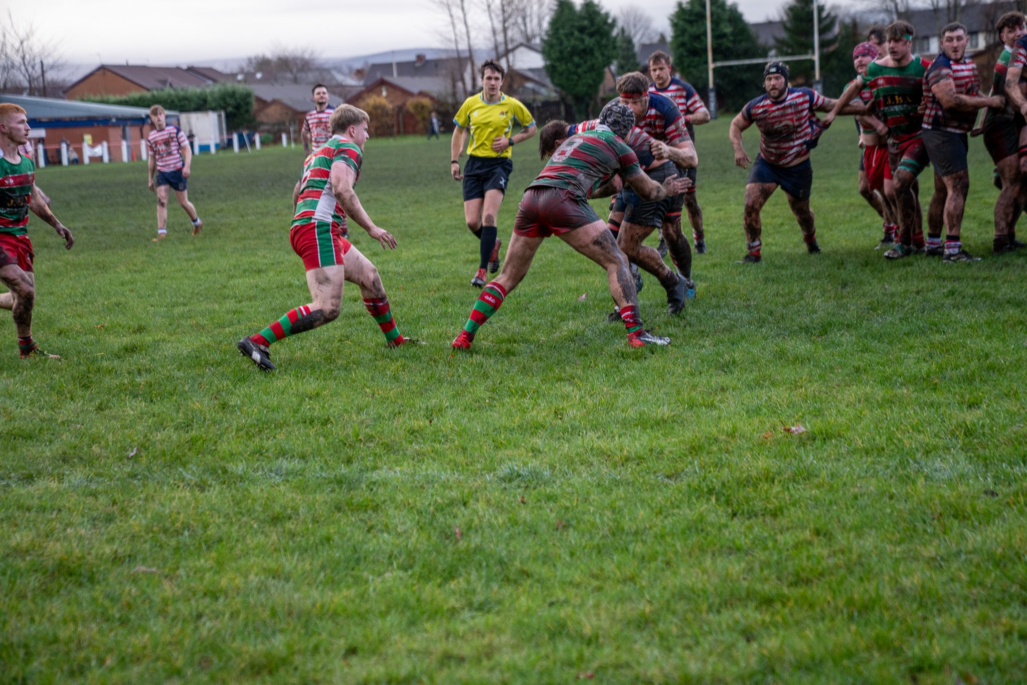 DSC03666.jpg