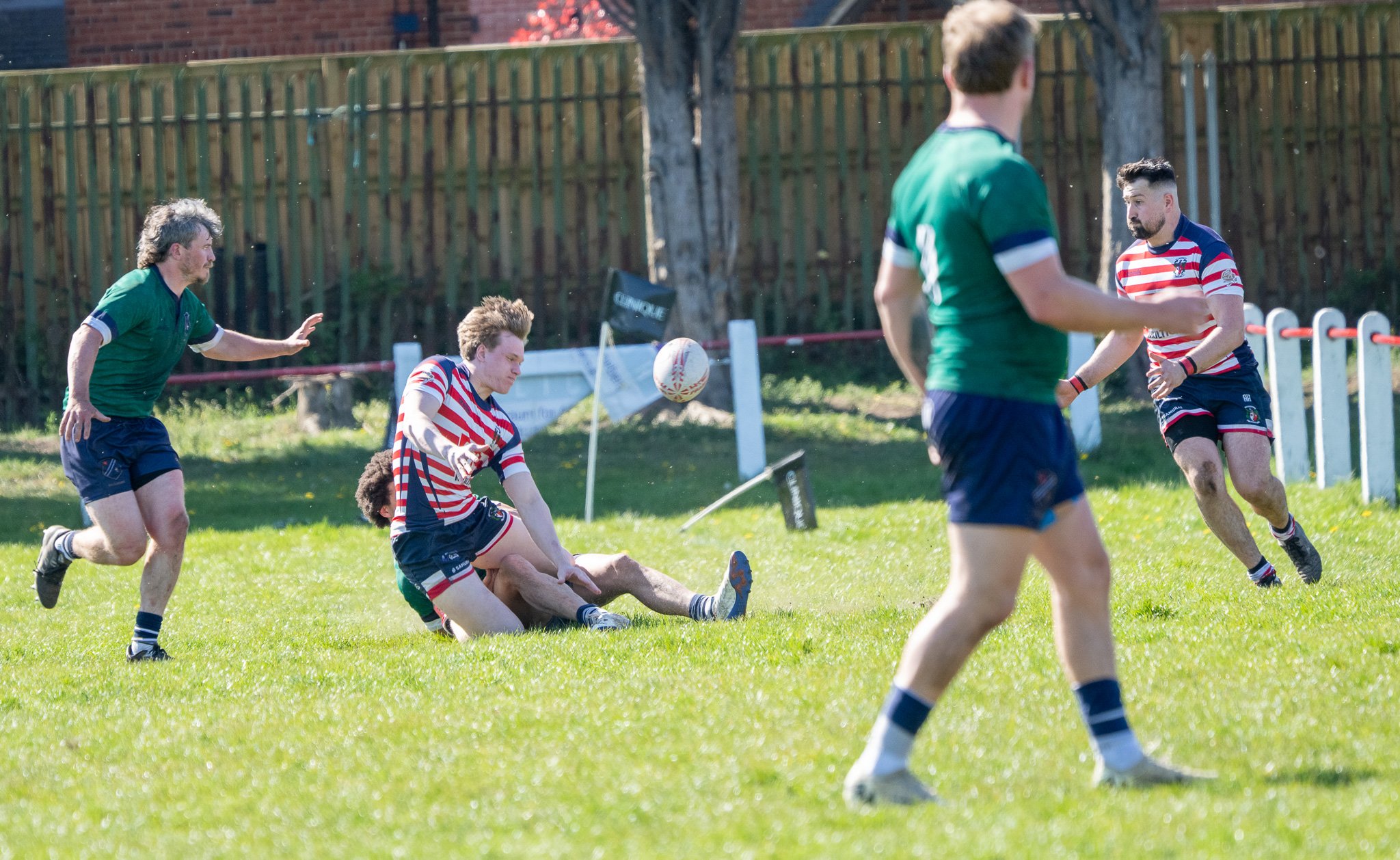 DSC02015.jpg