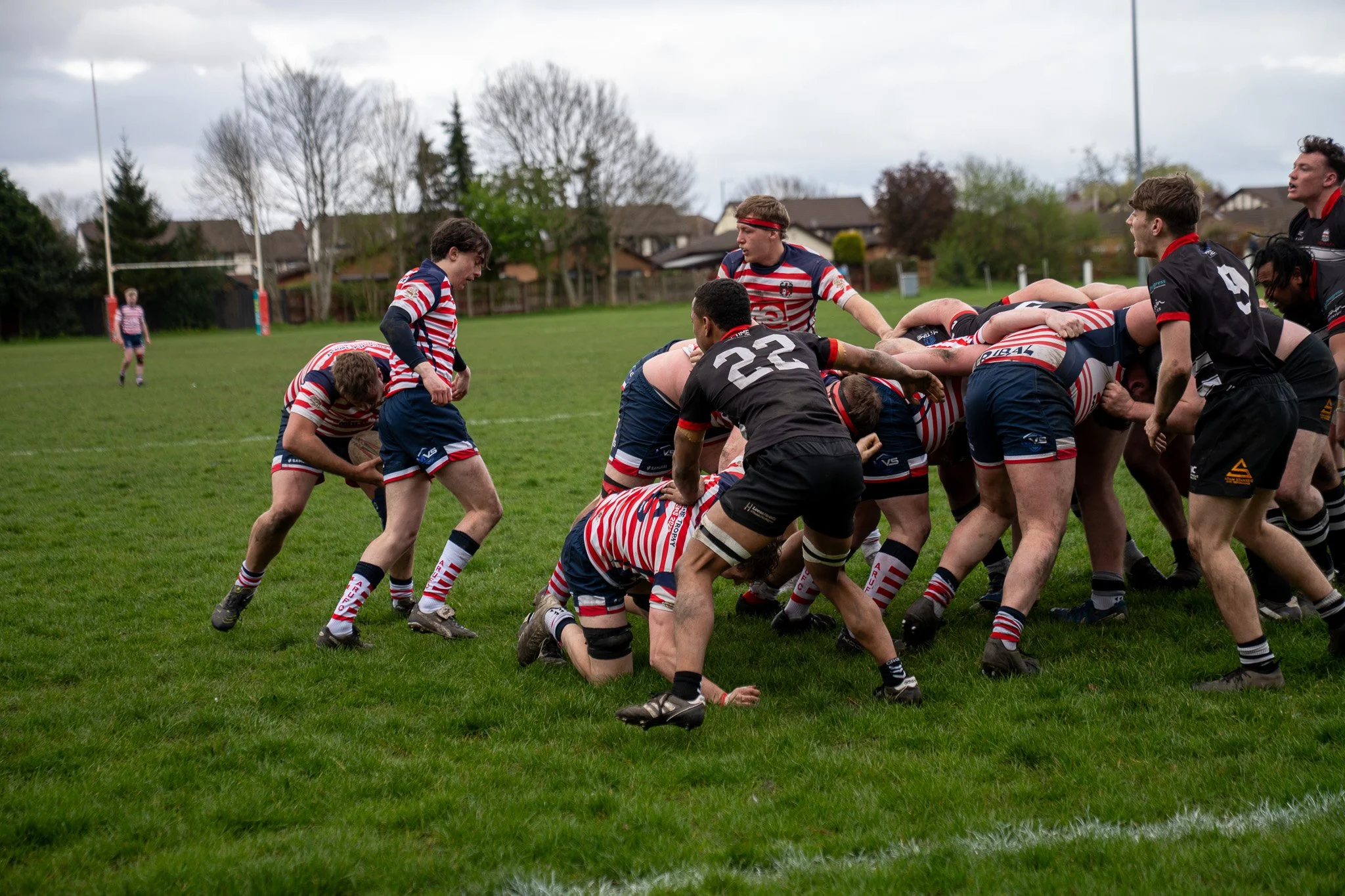 DSC04596.jpg