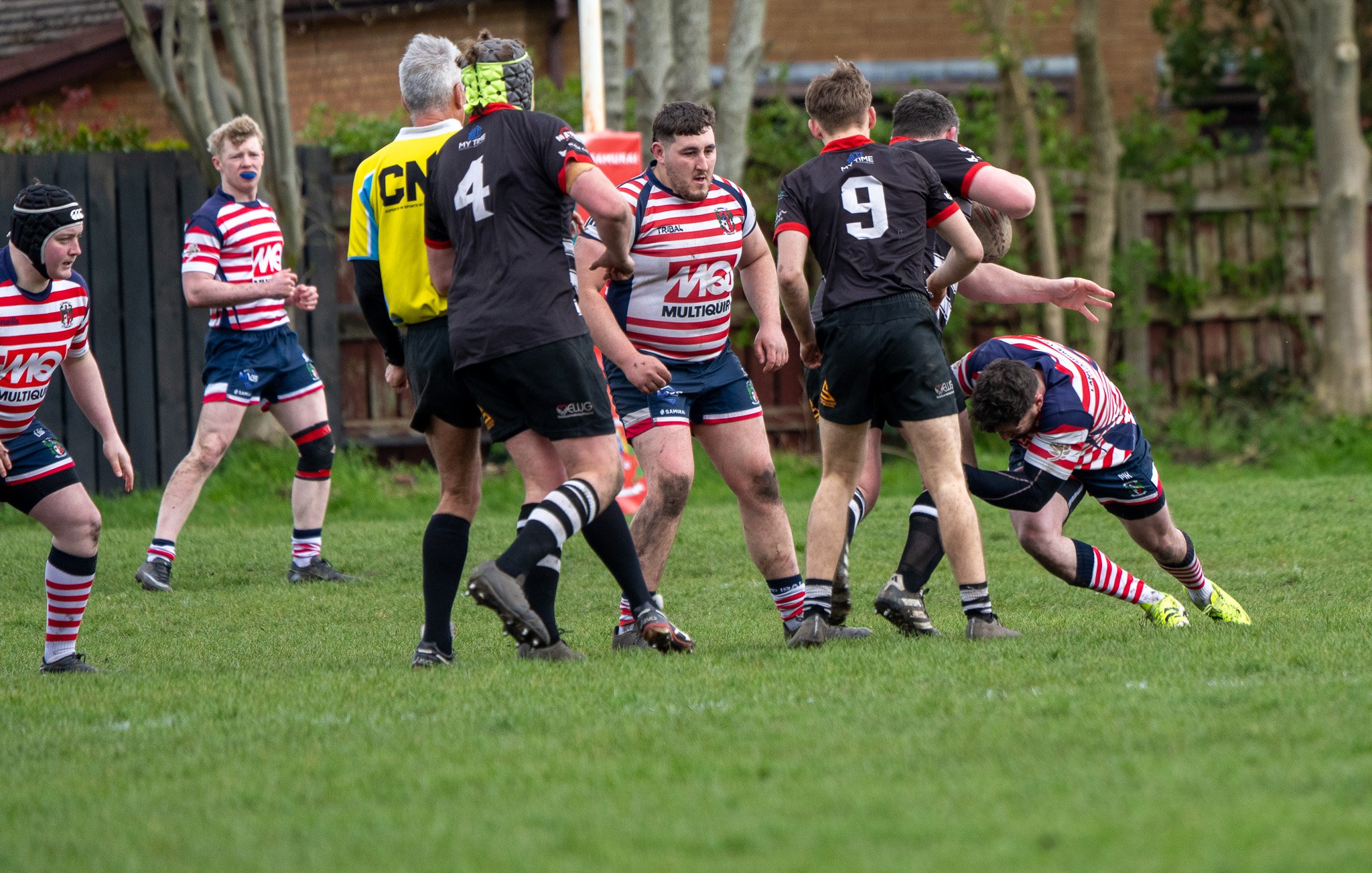 DSC01644.jpg