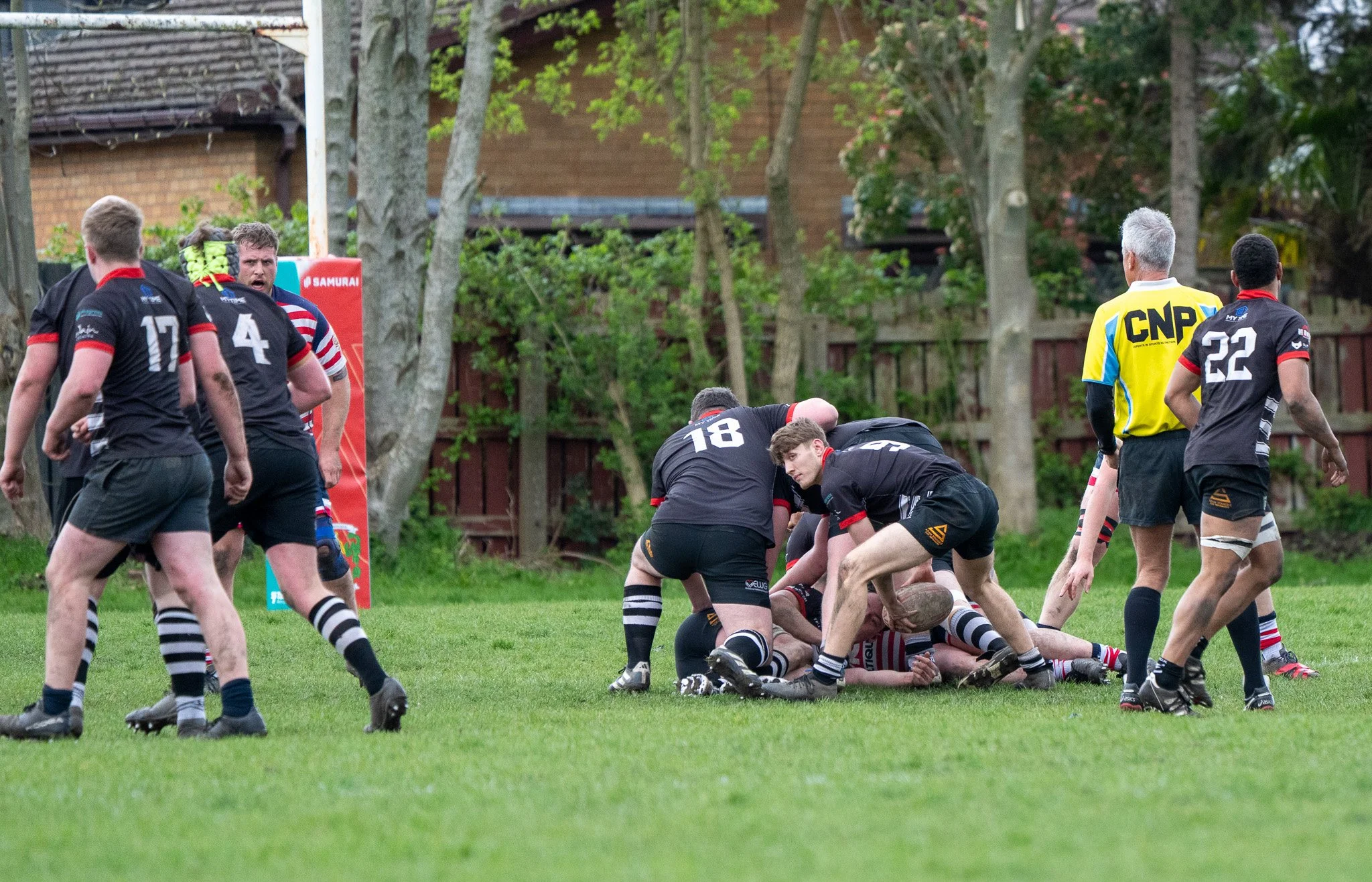 DSC01704.jpg