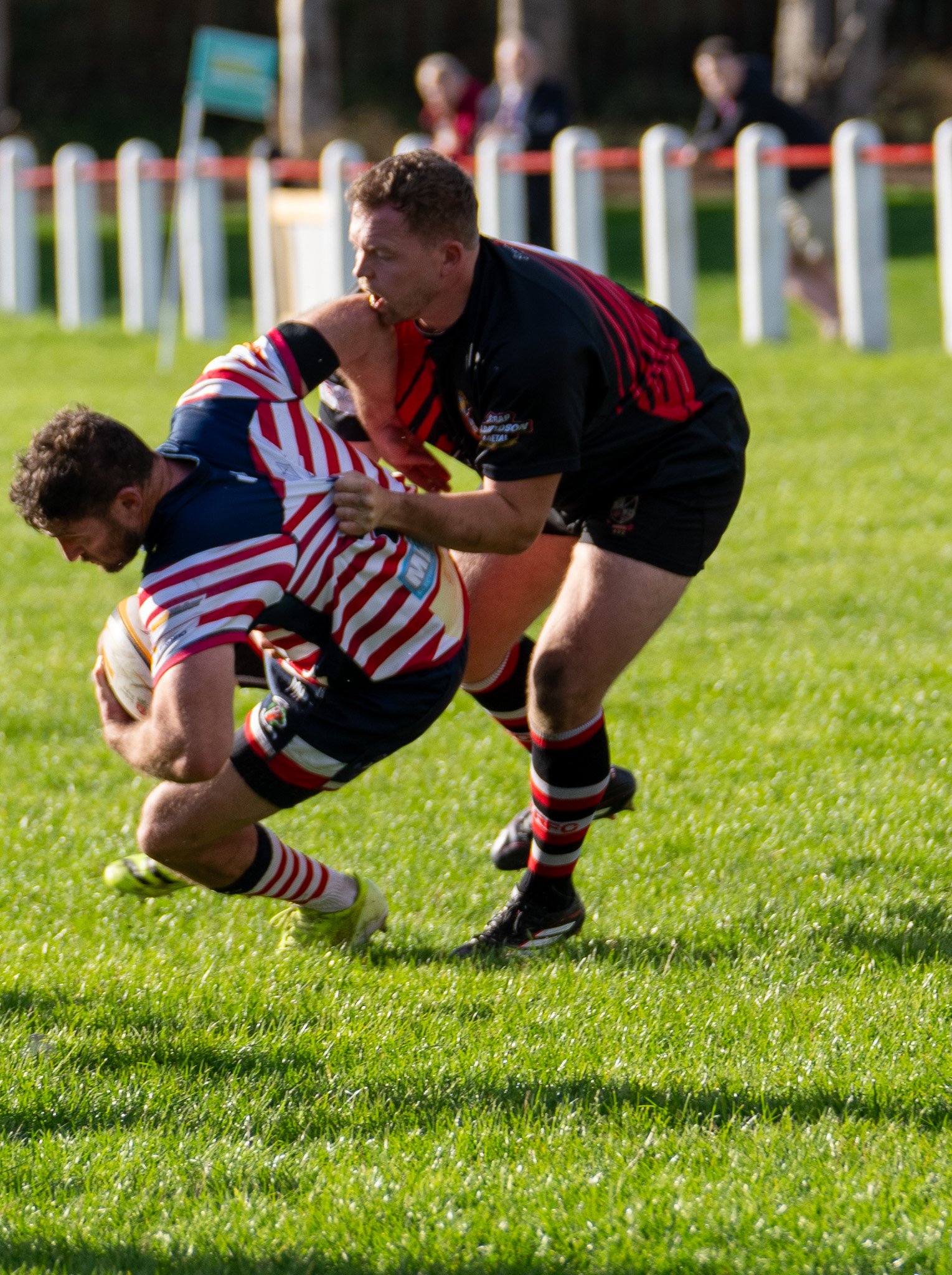DSC03575.jpg