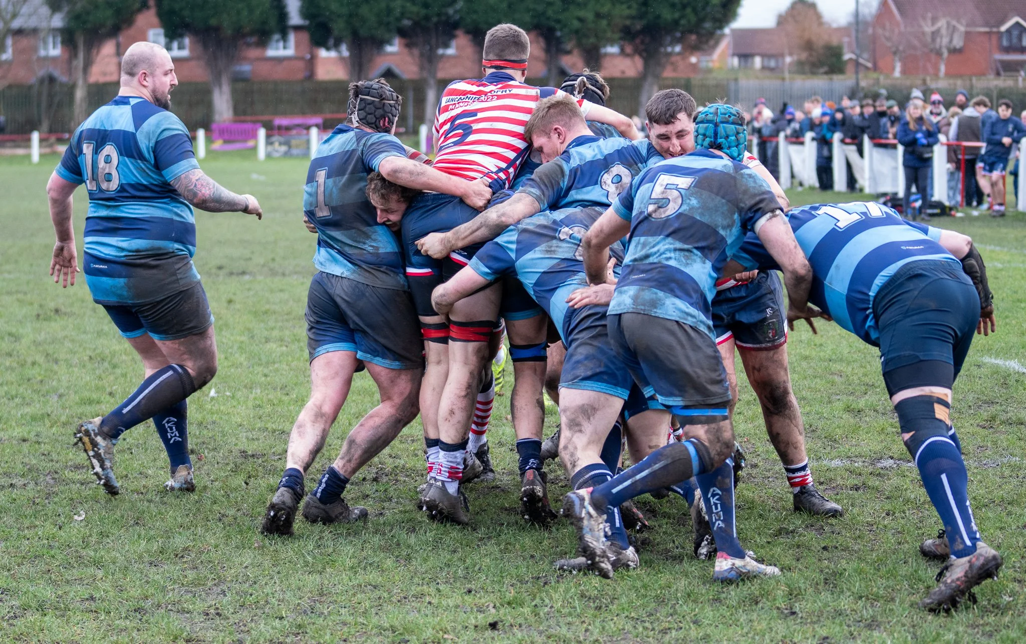 DSC08432.jpg