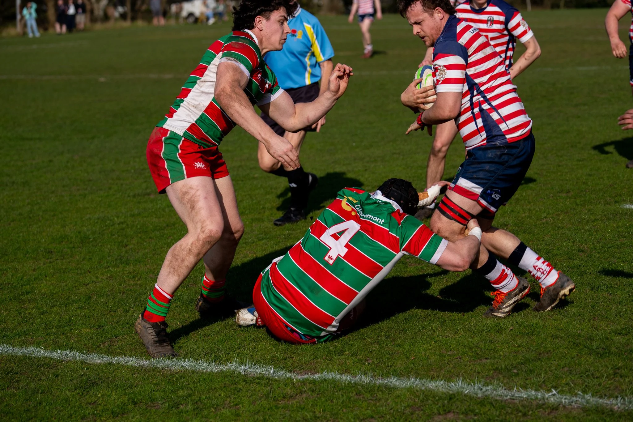DSC00156.jpg