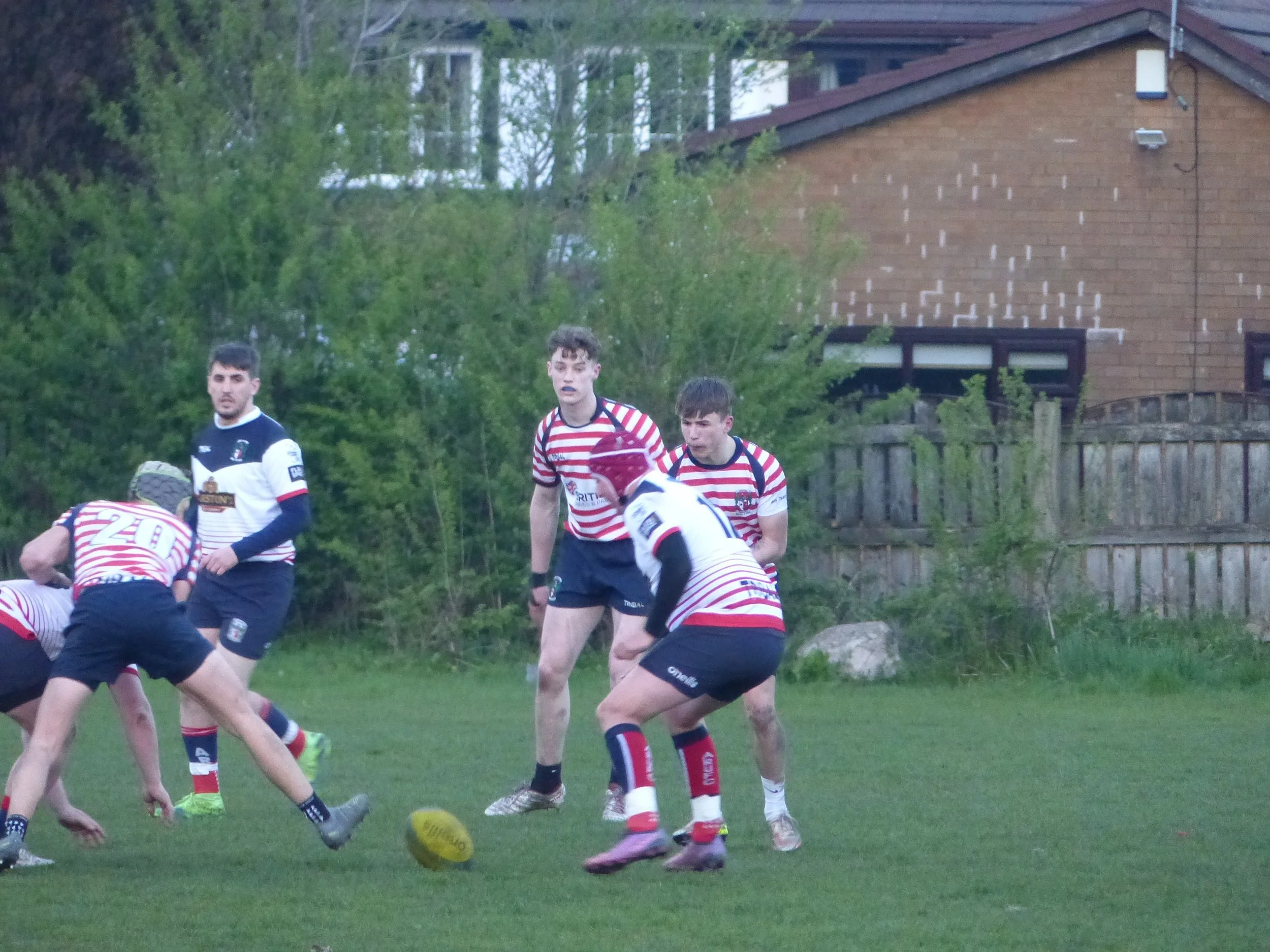 P1200075.JPG