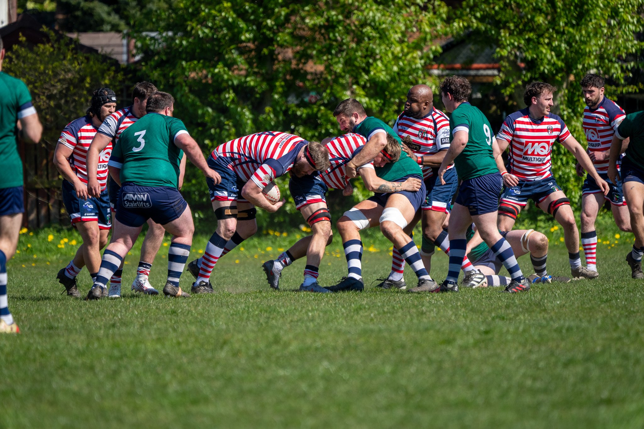 DSC01946.jpg