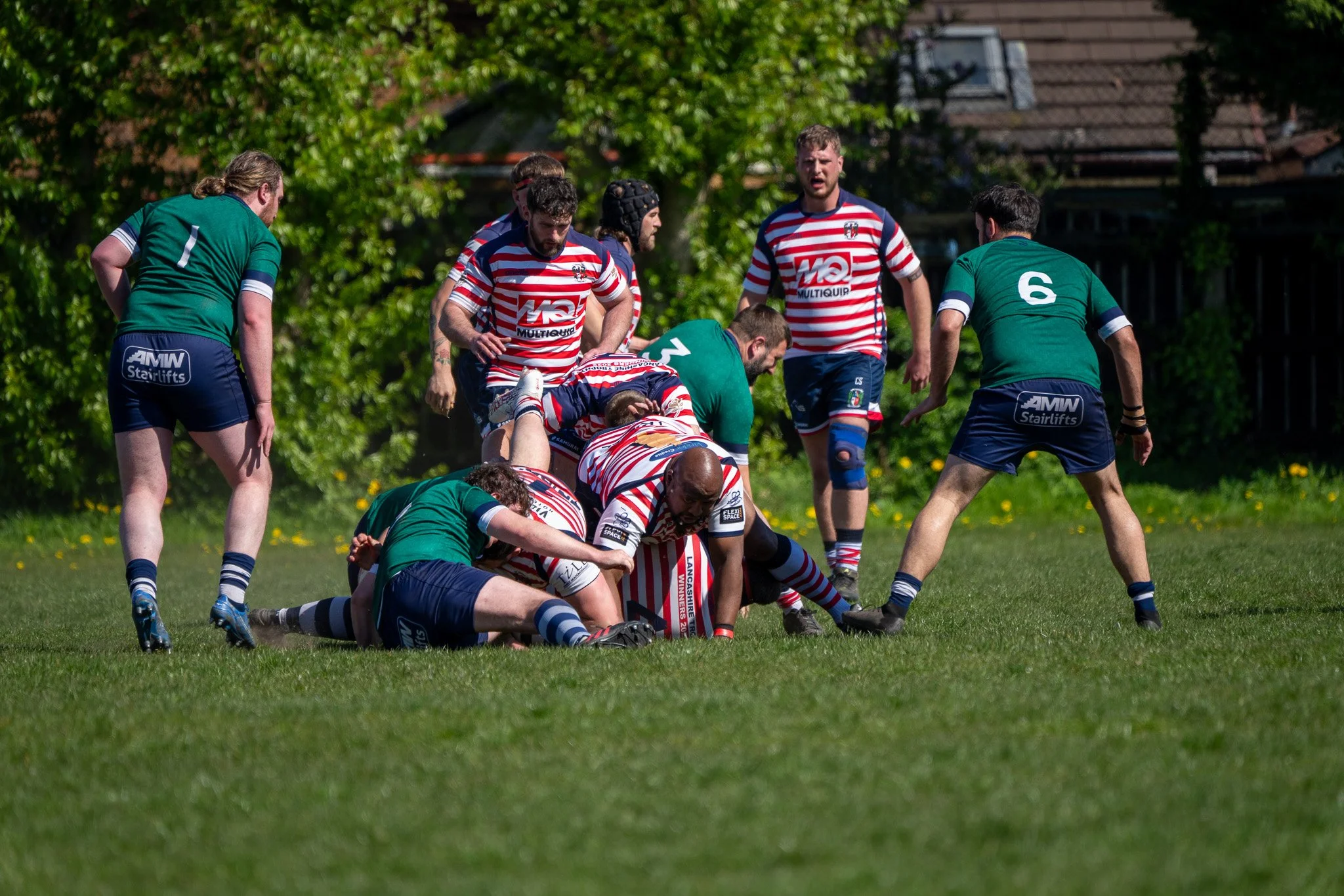 DSC01947.jpg