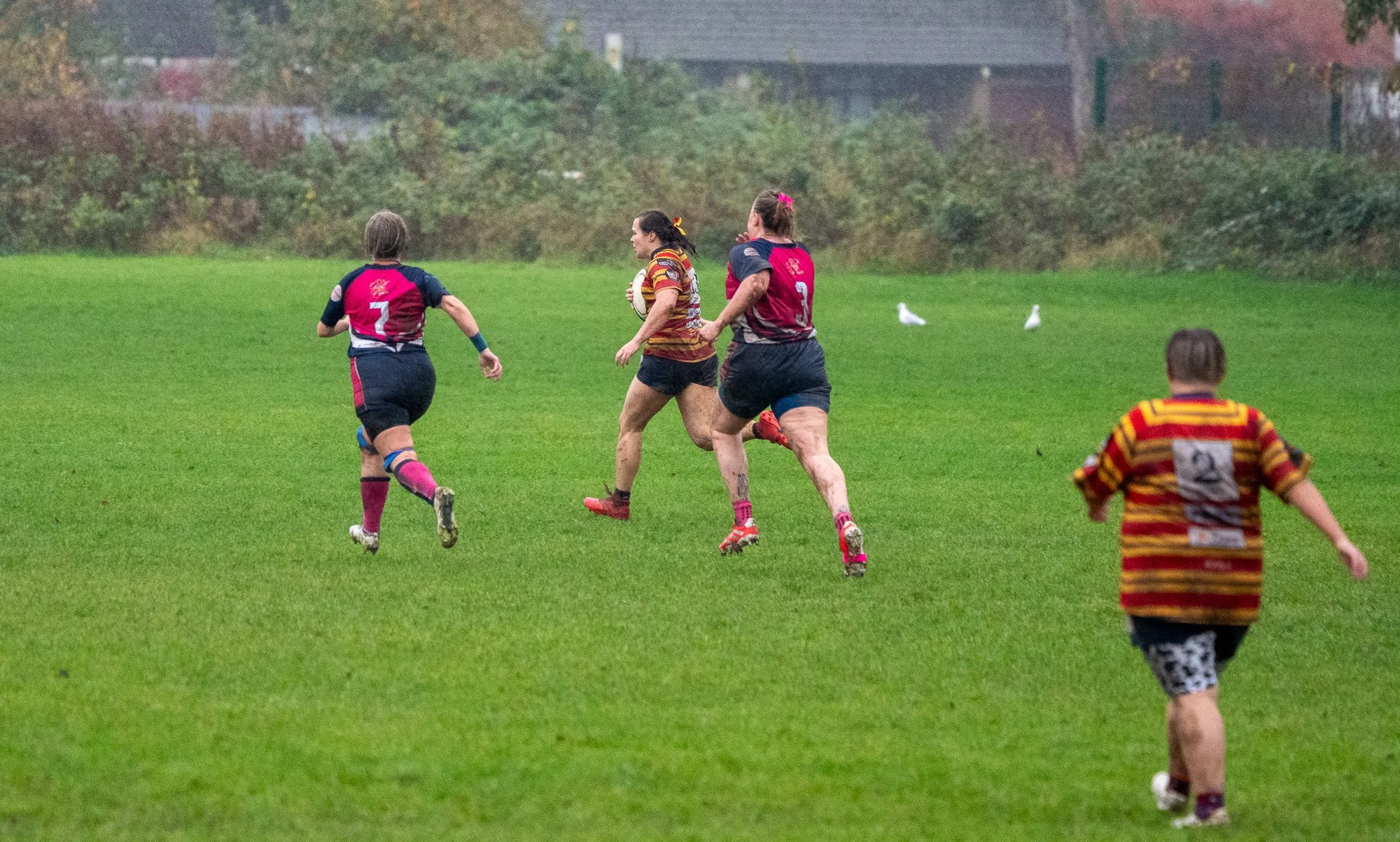 DSC08288.jpg