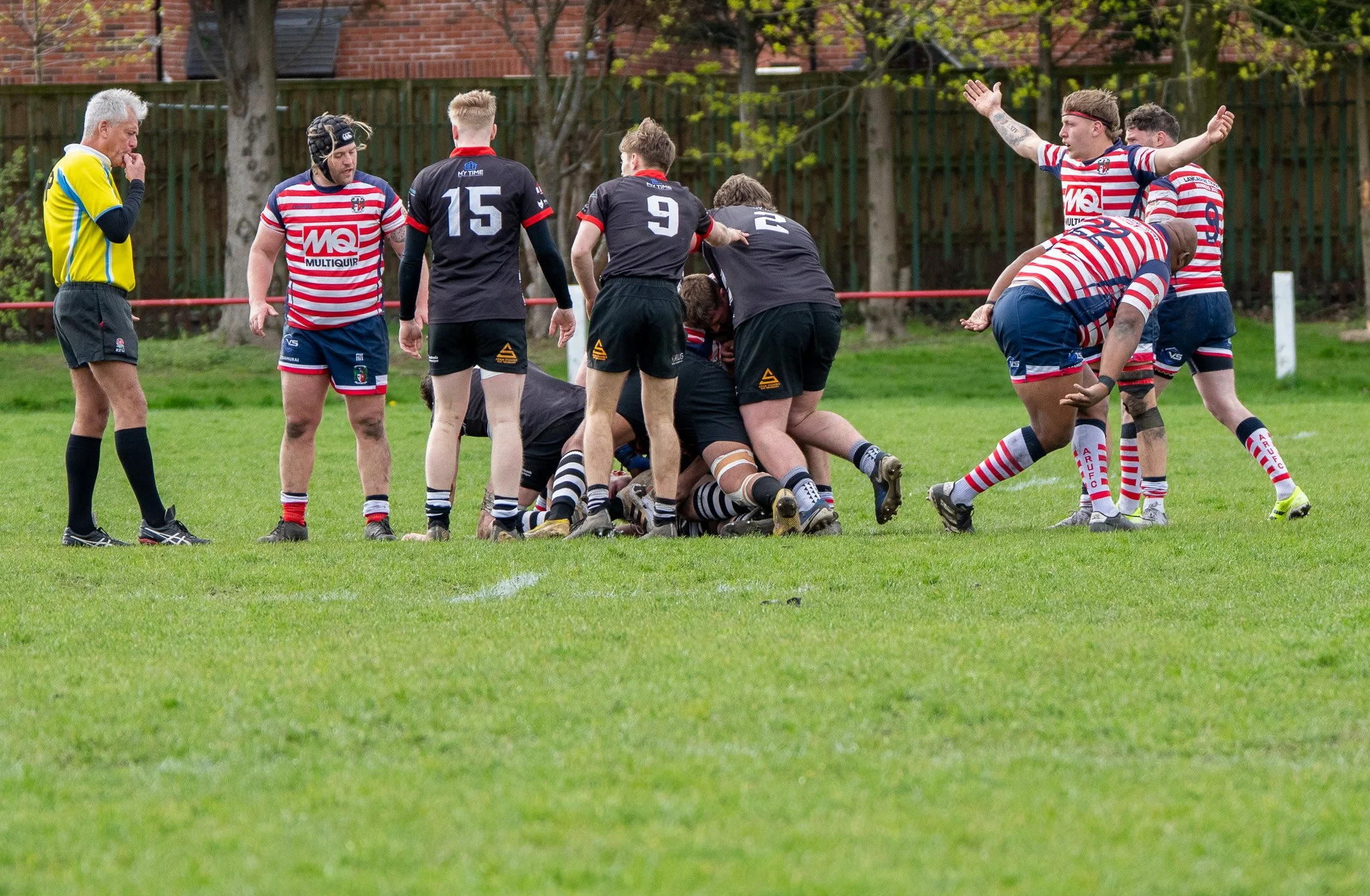 DSC01605.jpg