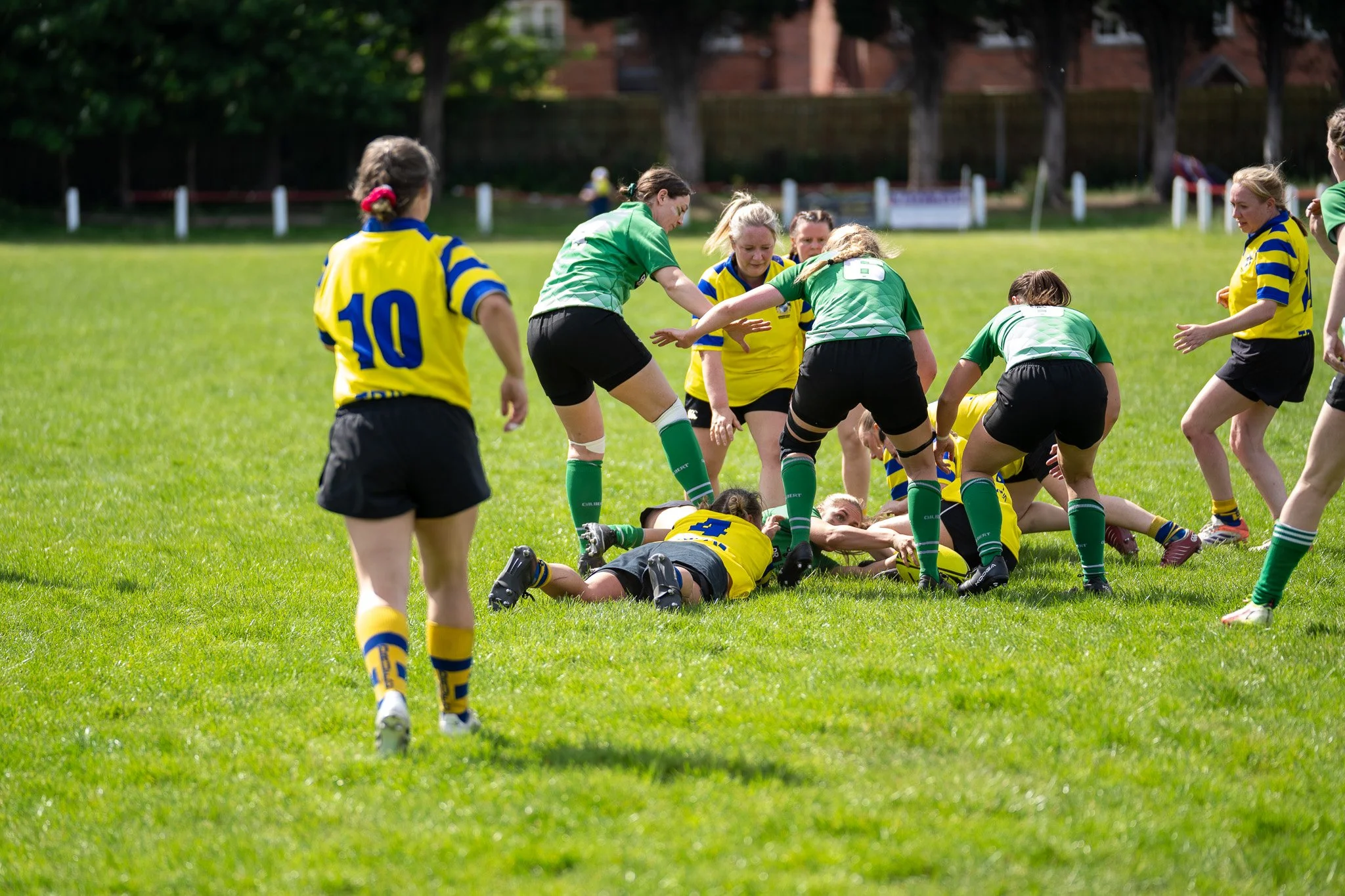 DSC02565.jpg