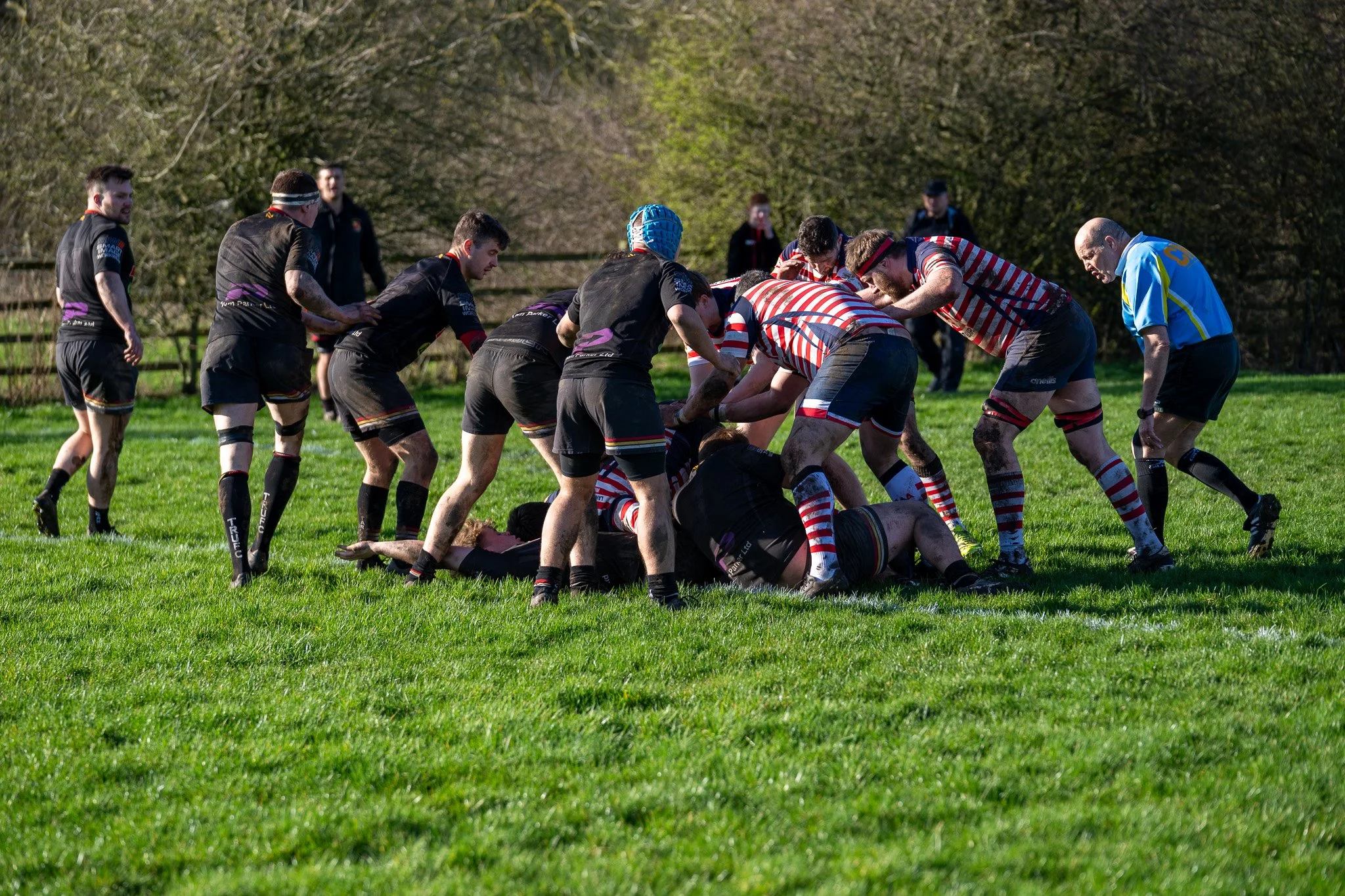 DSC09563.jpg