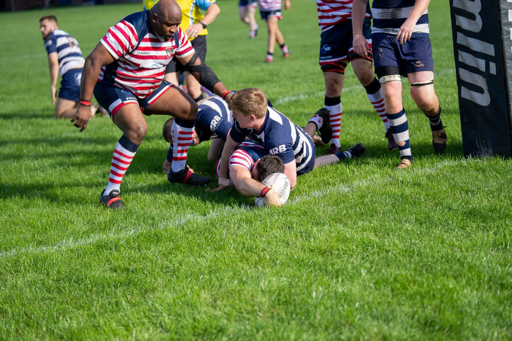 DSC02908.jpg