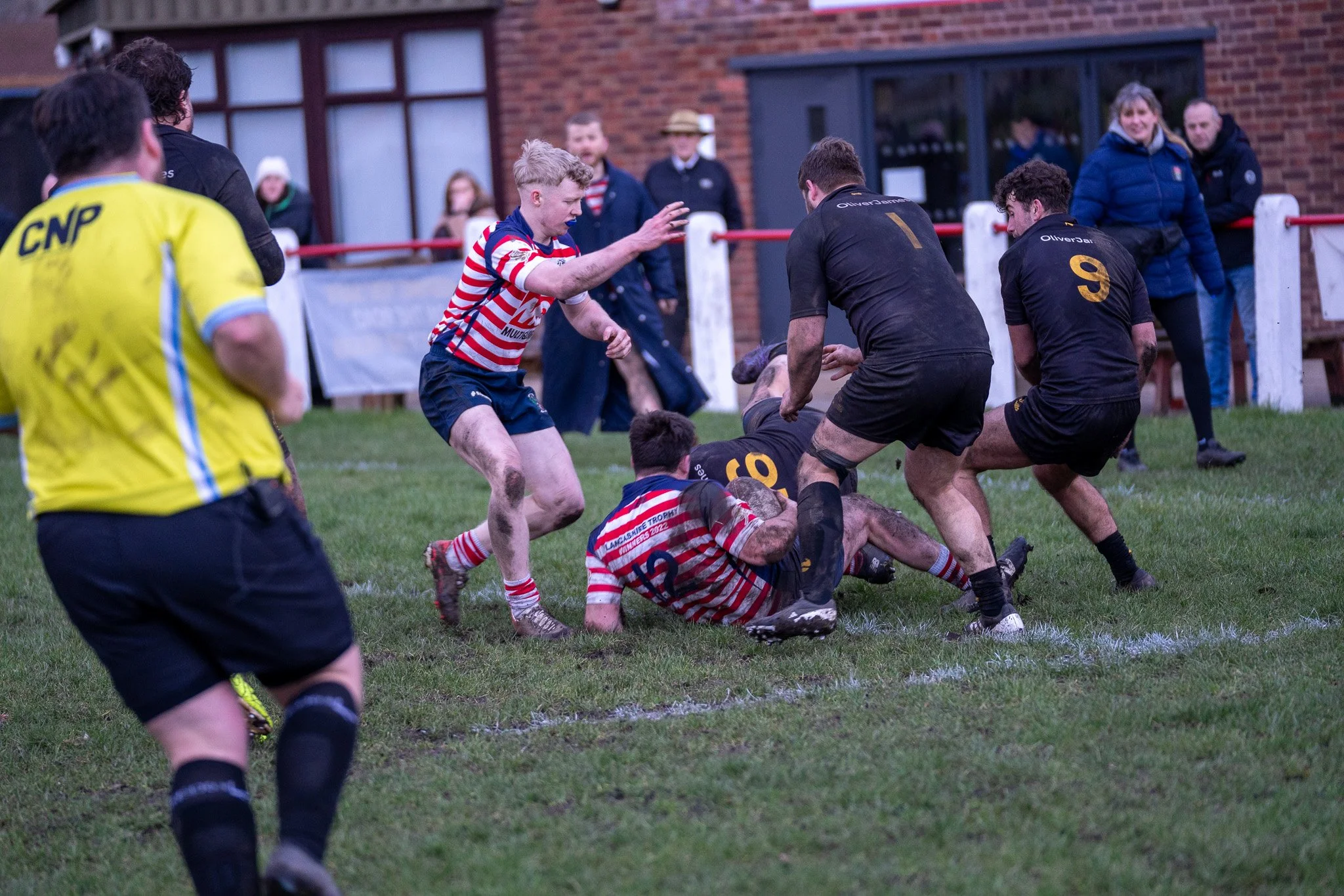 DSC07396.jpg