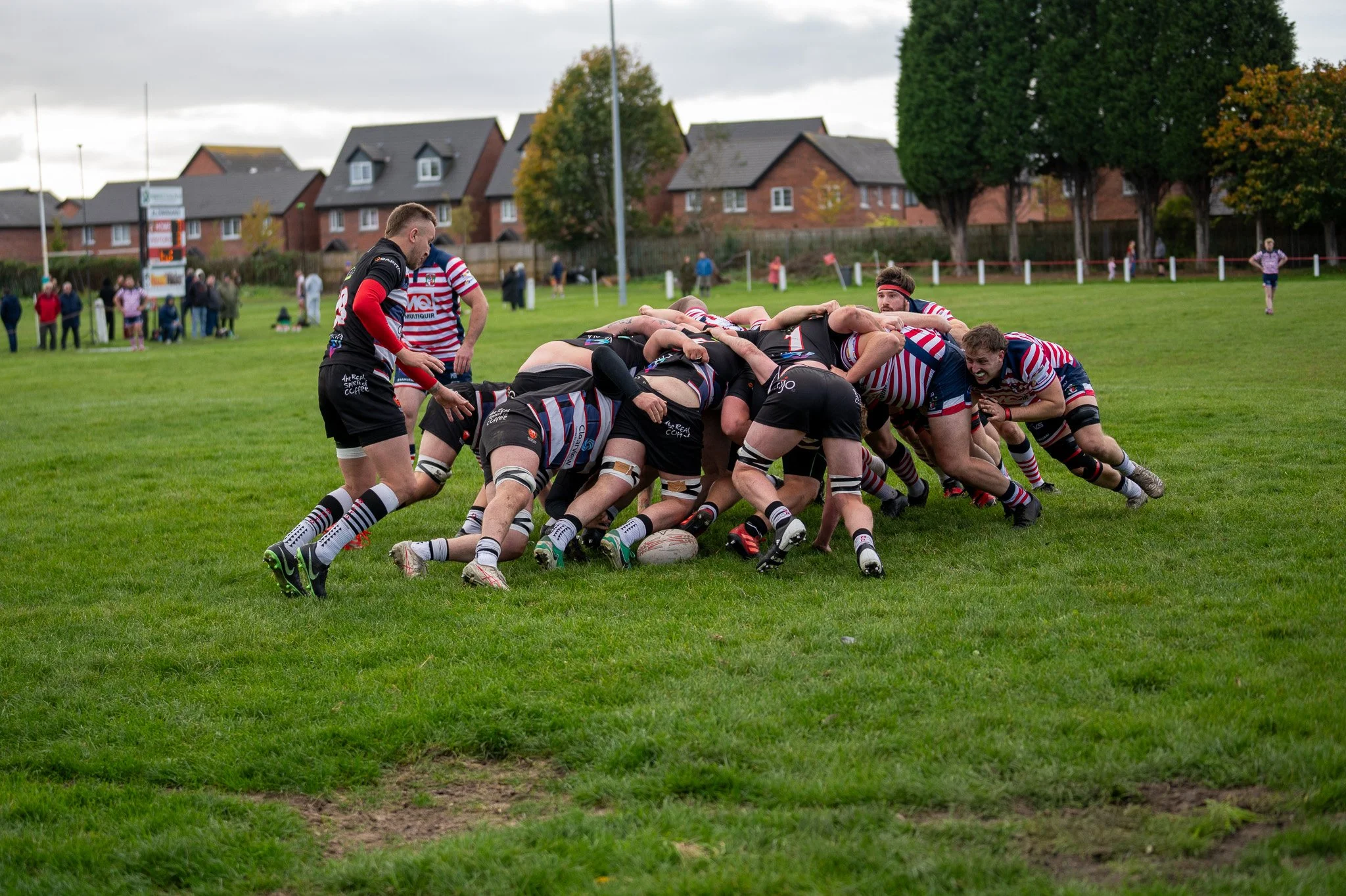 DSC04897.jpg