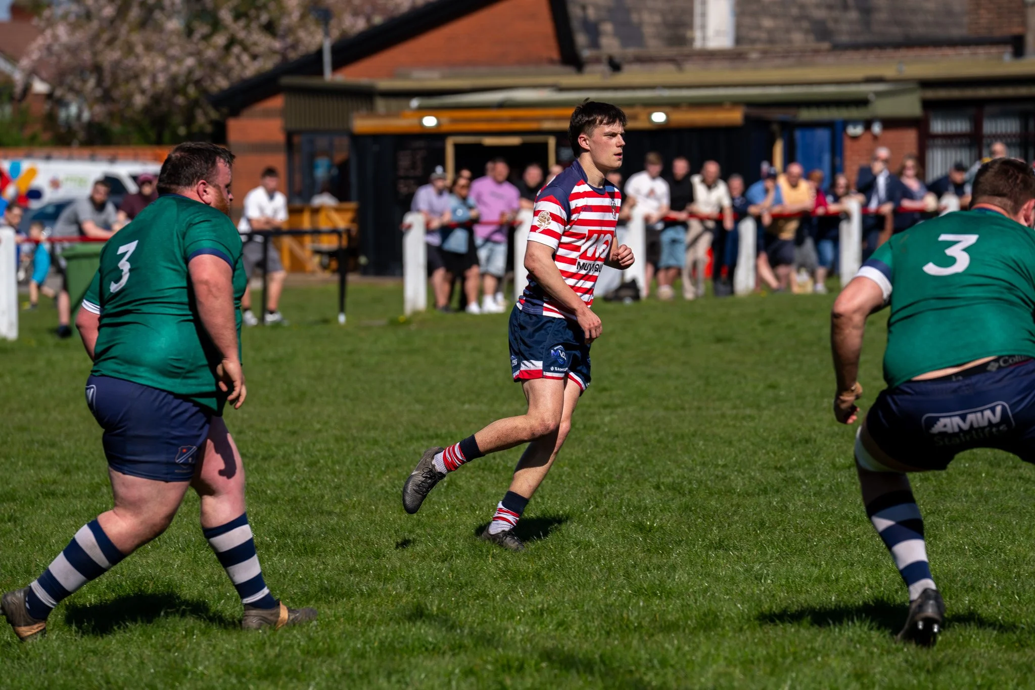DSC01850.jpg