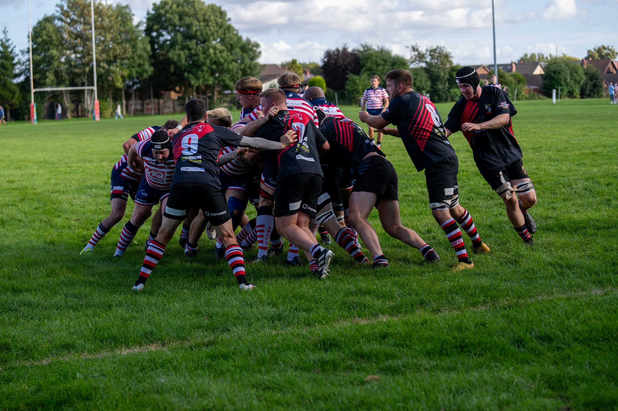 DSC03487.jpg