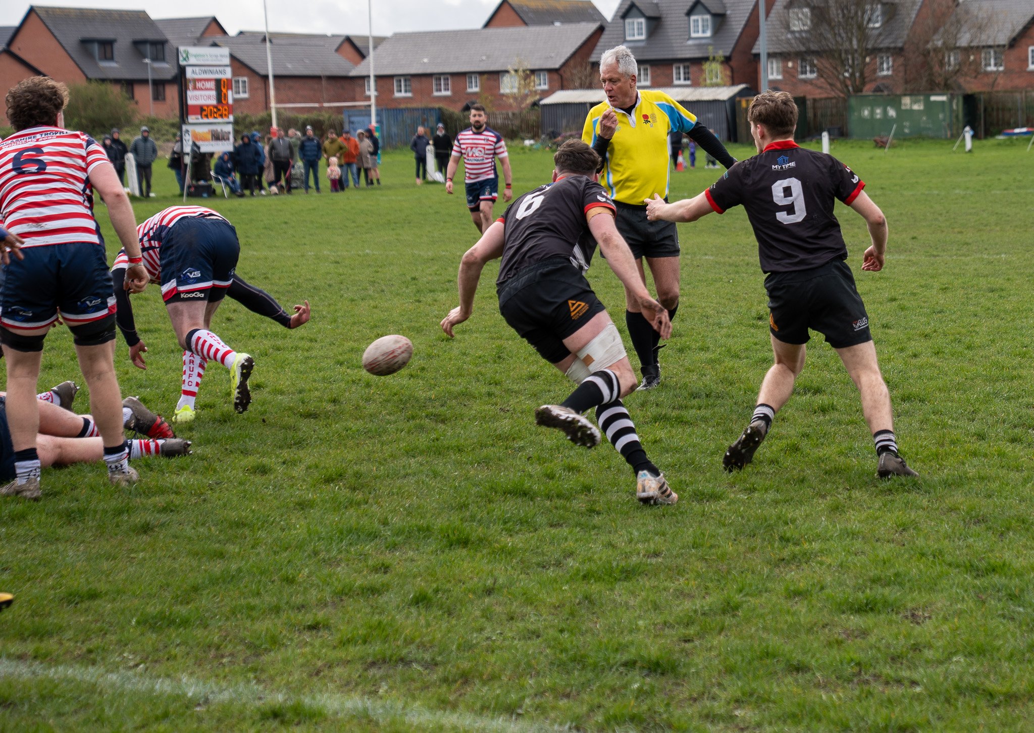 DSC04572.jpg