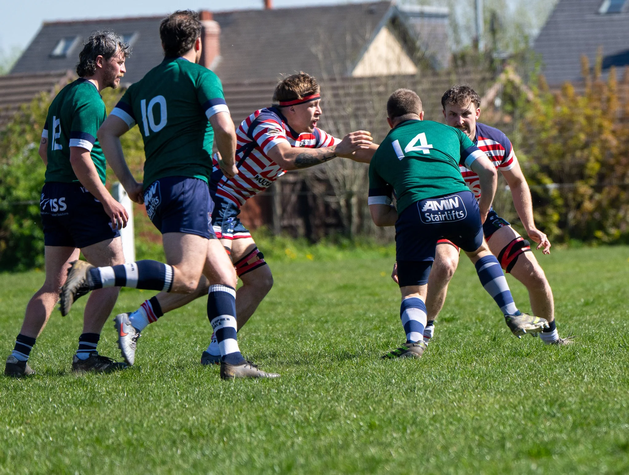 DSC01929.jpg