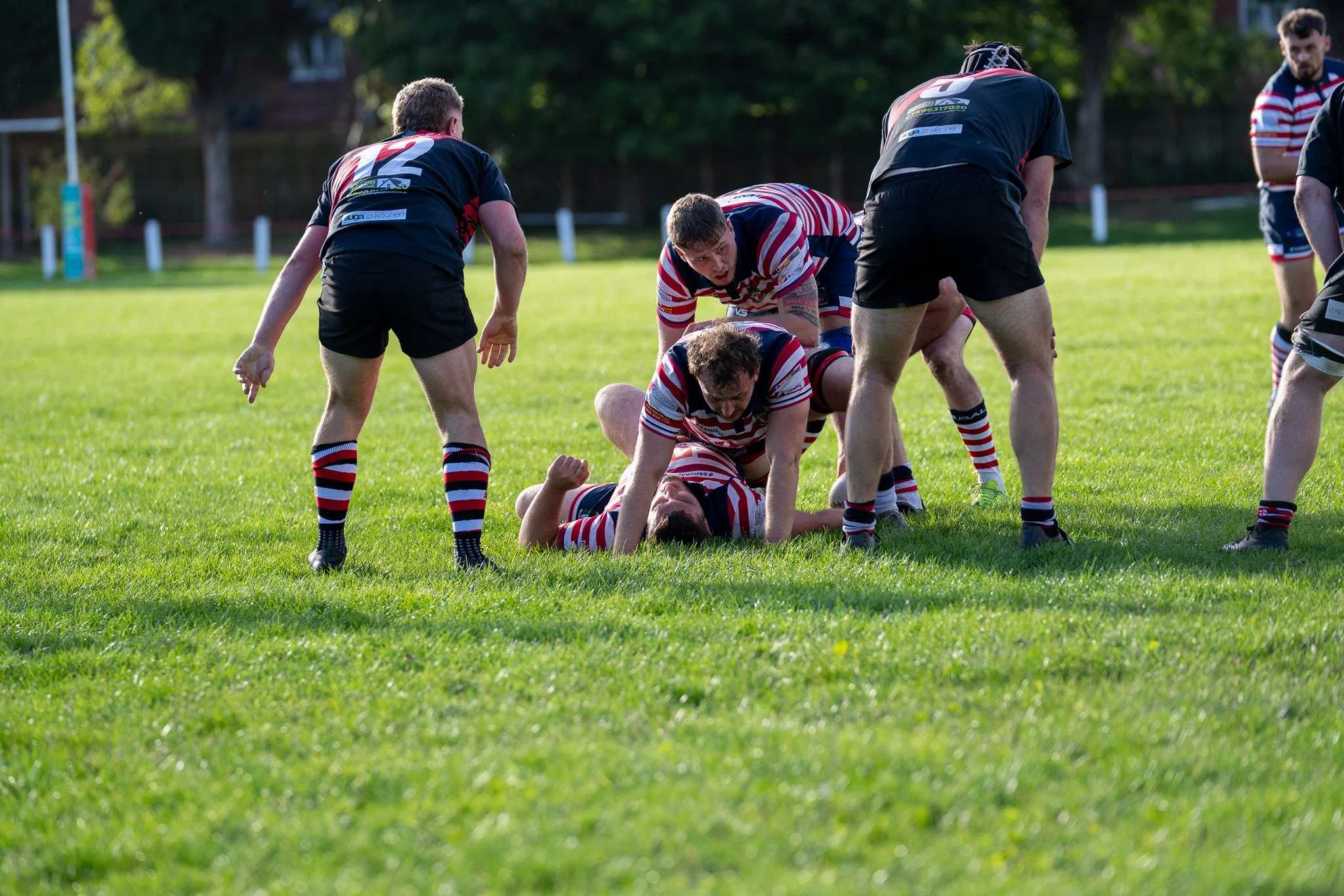 DSC03670.jpg