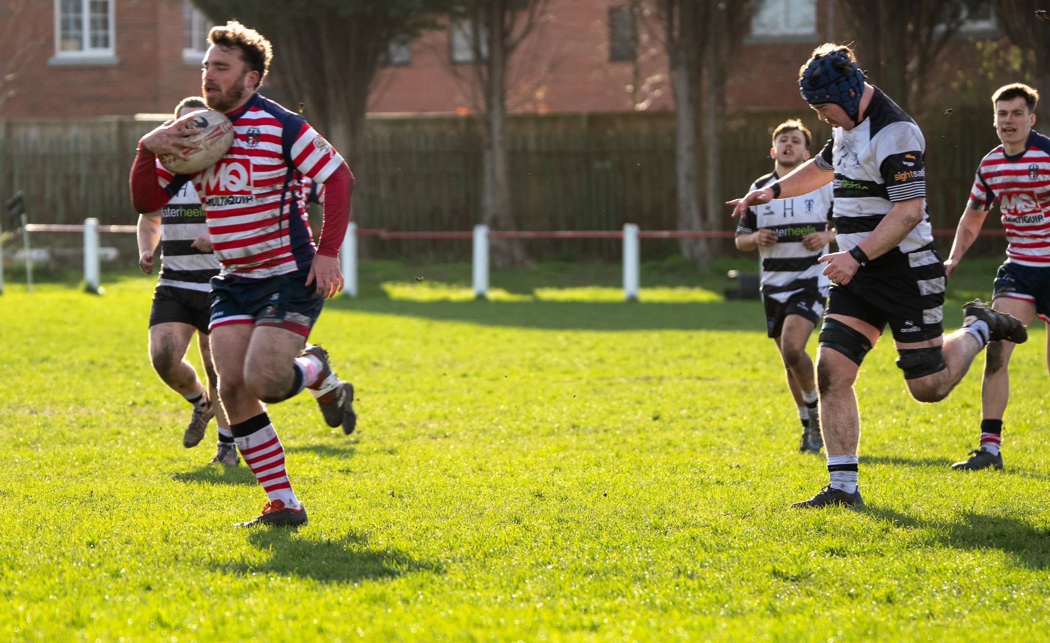 DSC01532.jpg