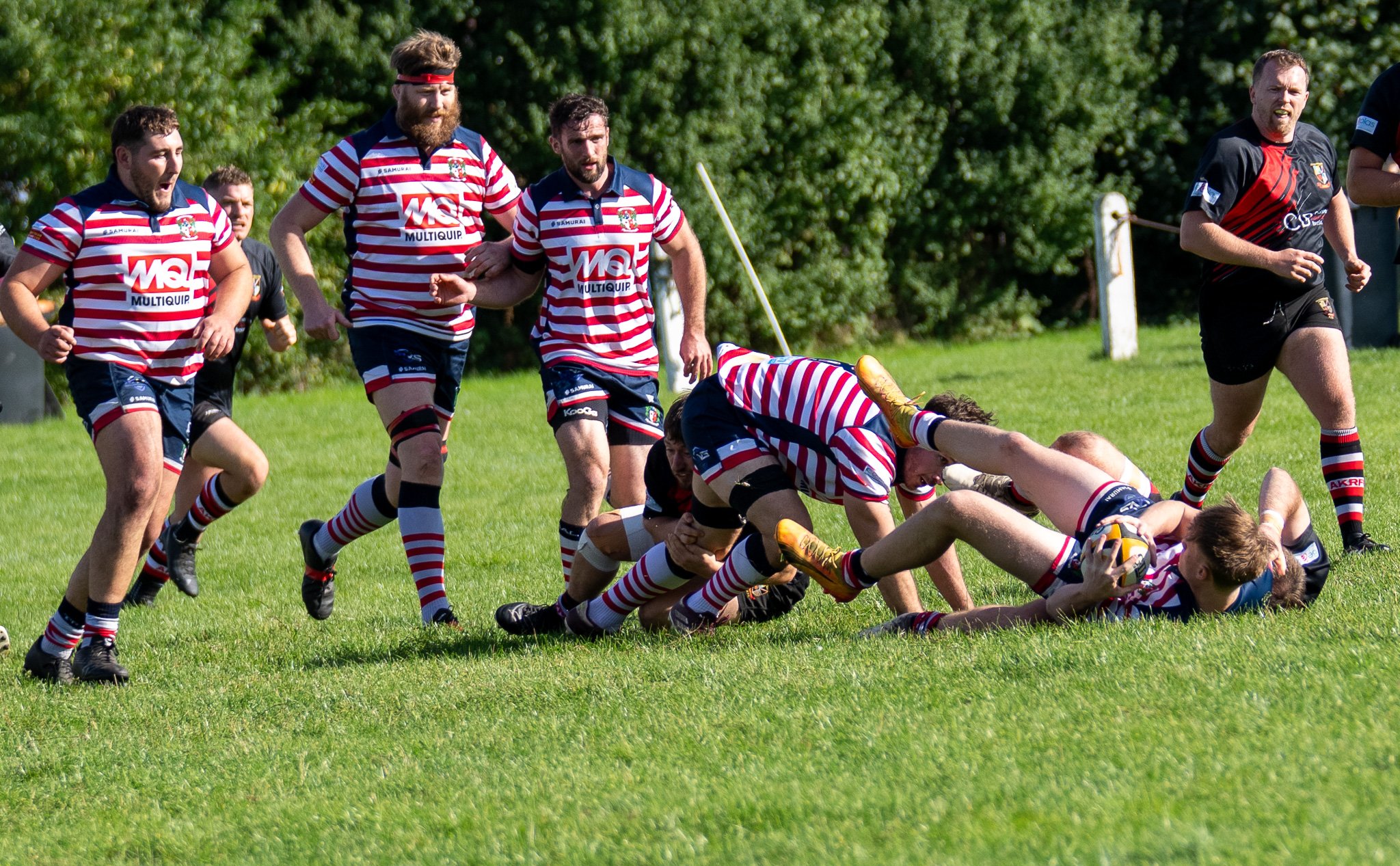 DSC03388.jpg