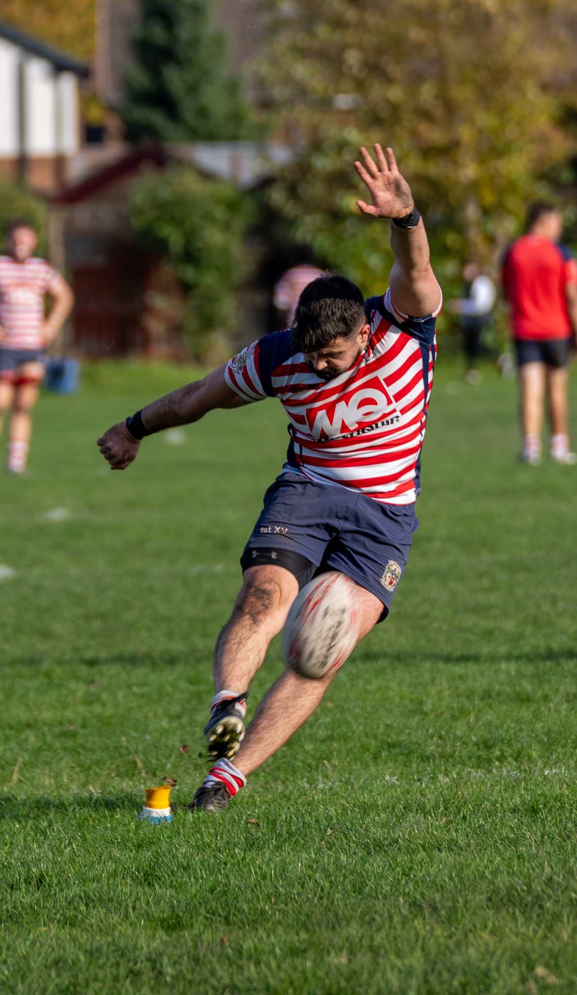 DSC03806.jpg