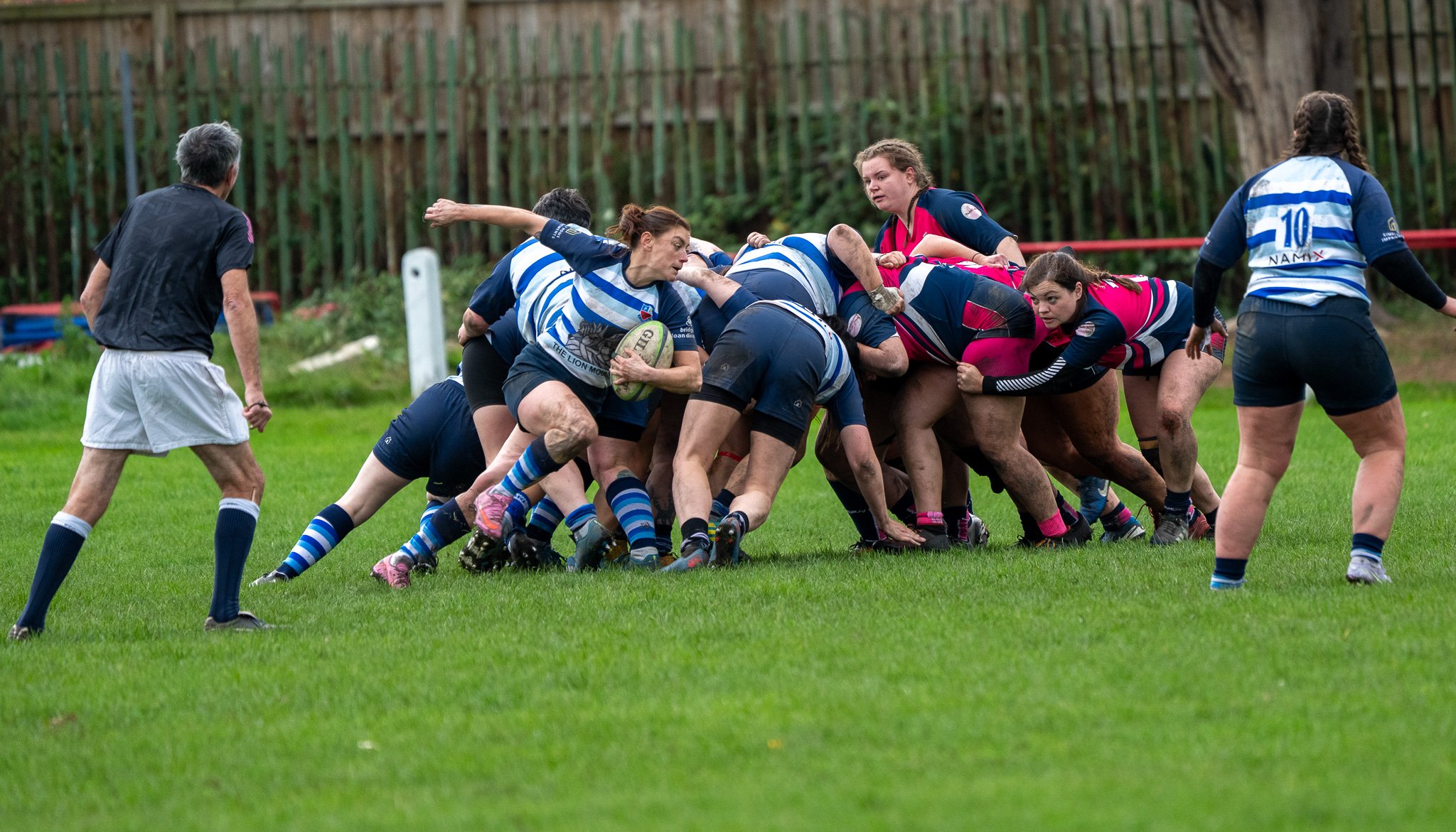 DSC07488.jpg