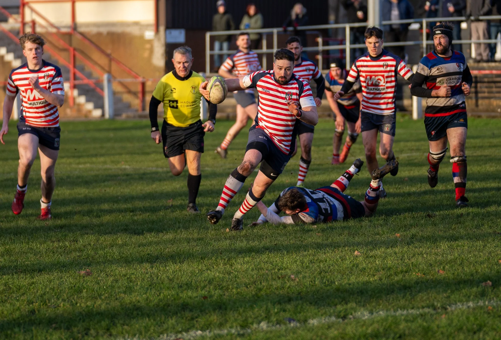 DSC06498.jpg