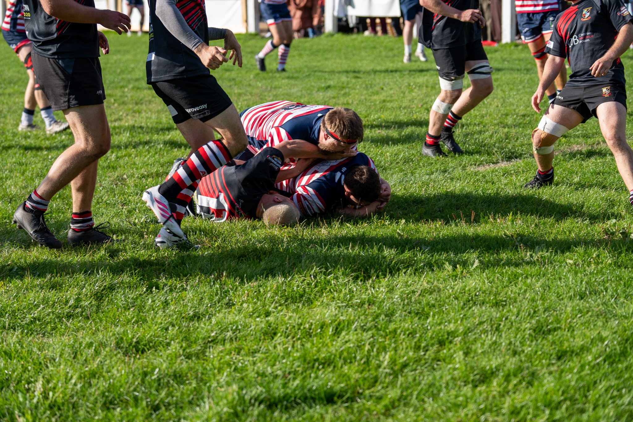 DSC03635.jpg