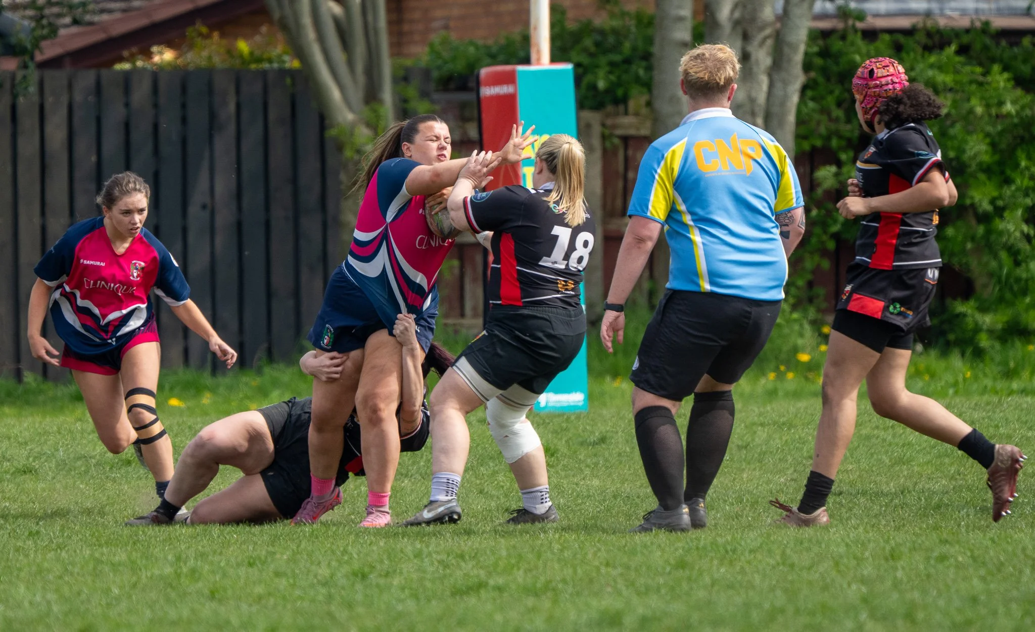 DSC02152.jpg