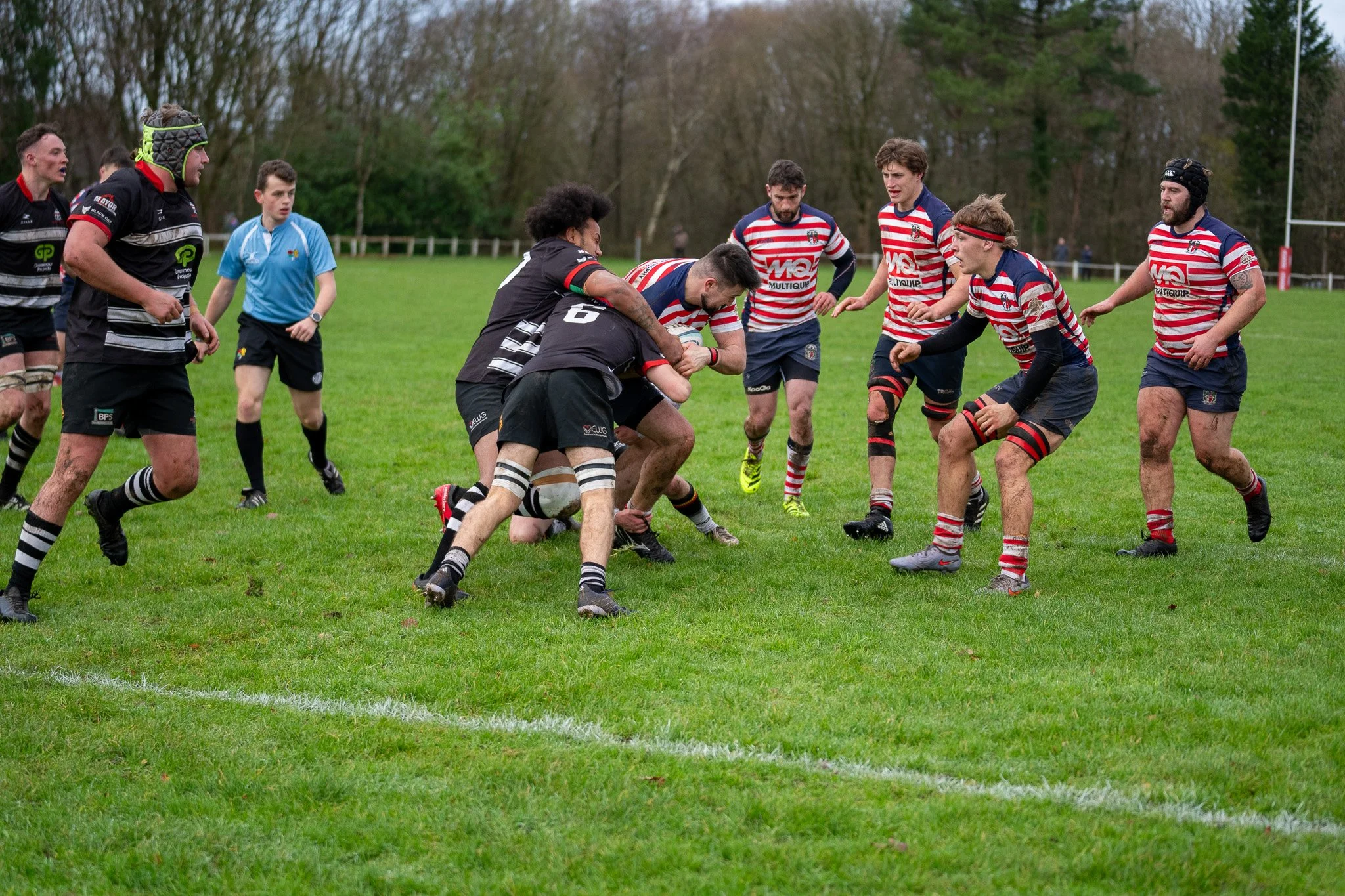 DSC05954.jpg