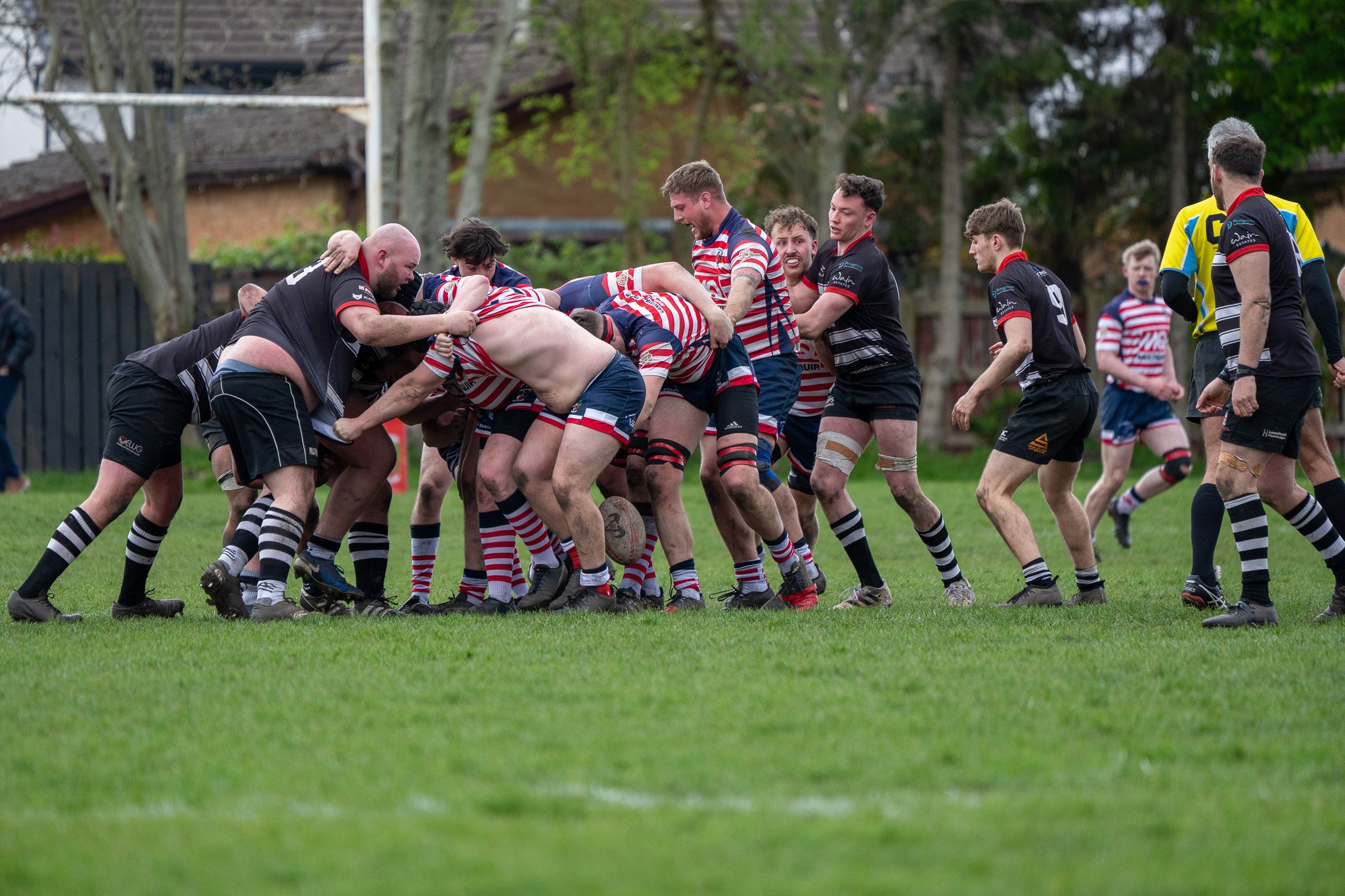 DSC01696.jpg
