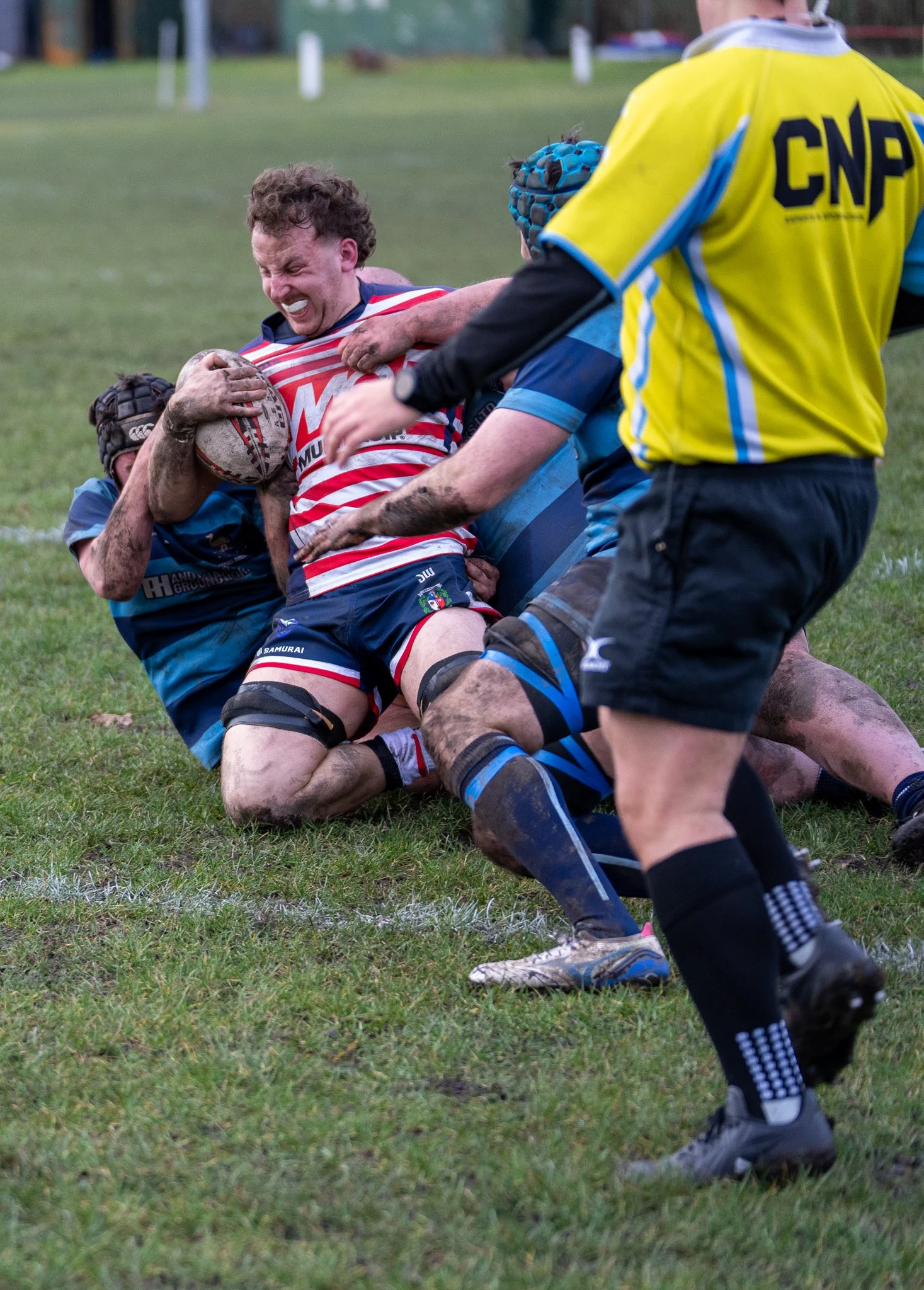 DSC08523.jpg