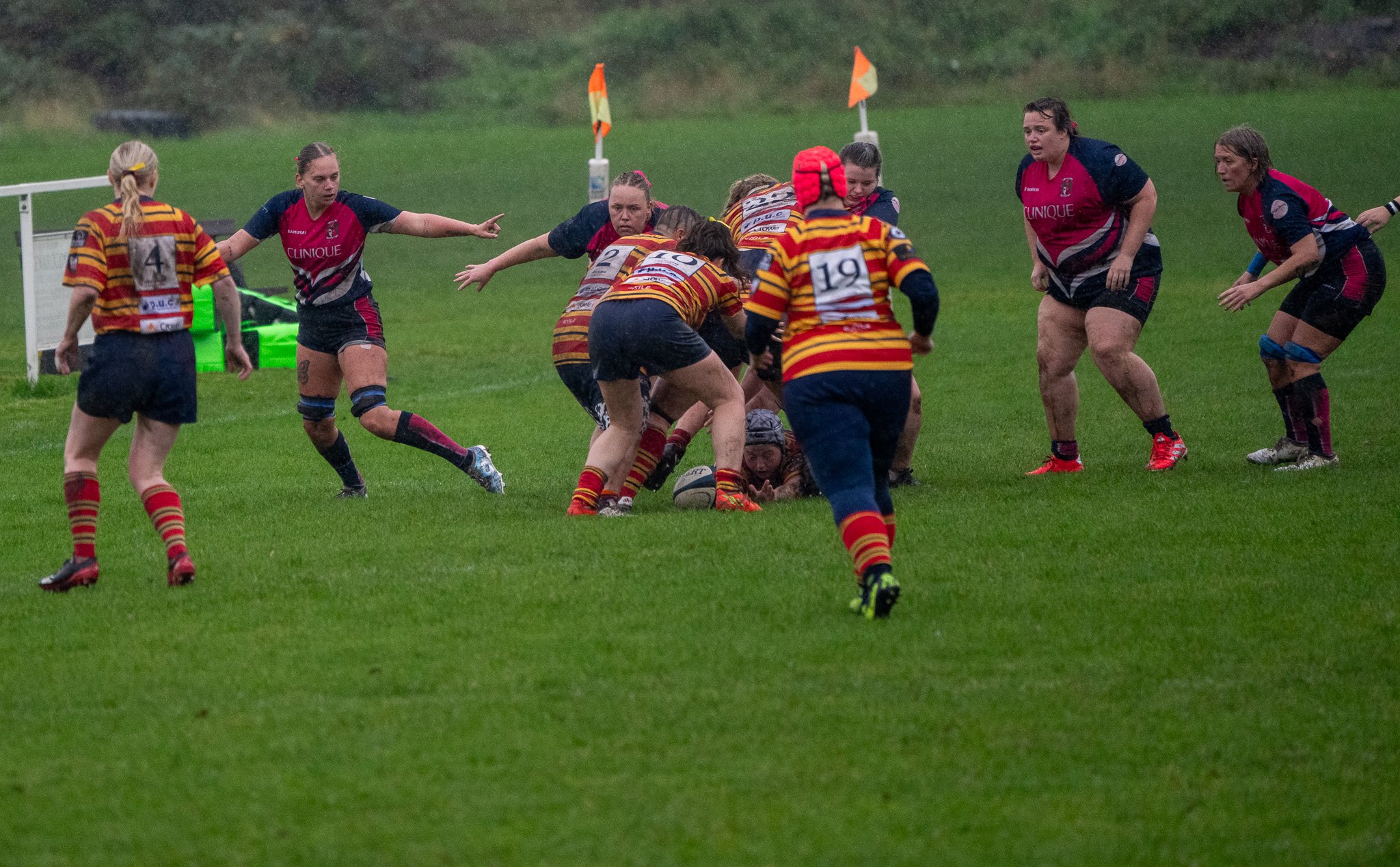 DSC08246.jpg