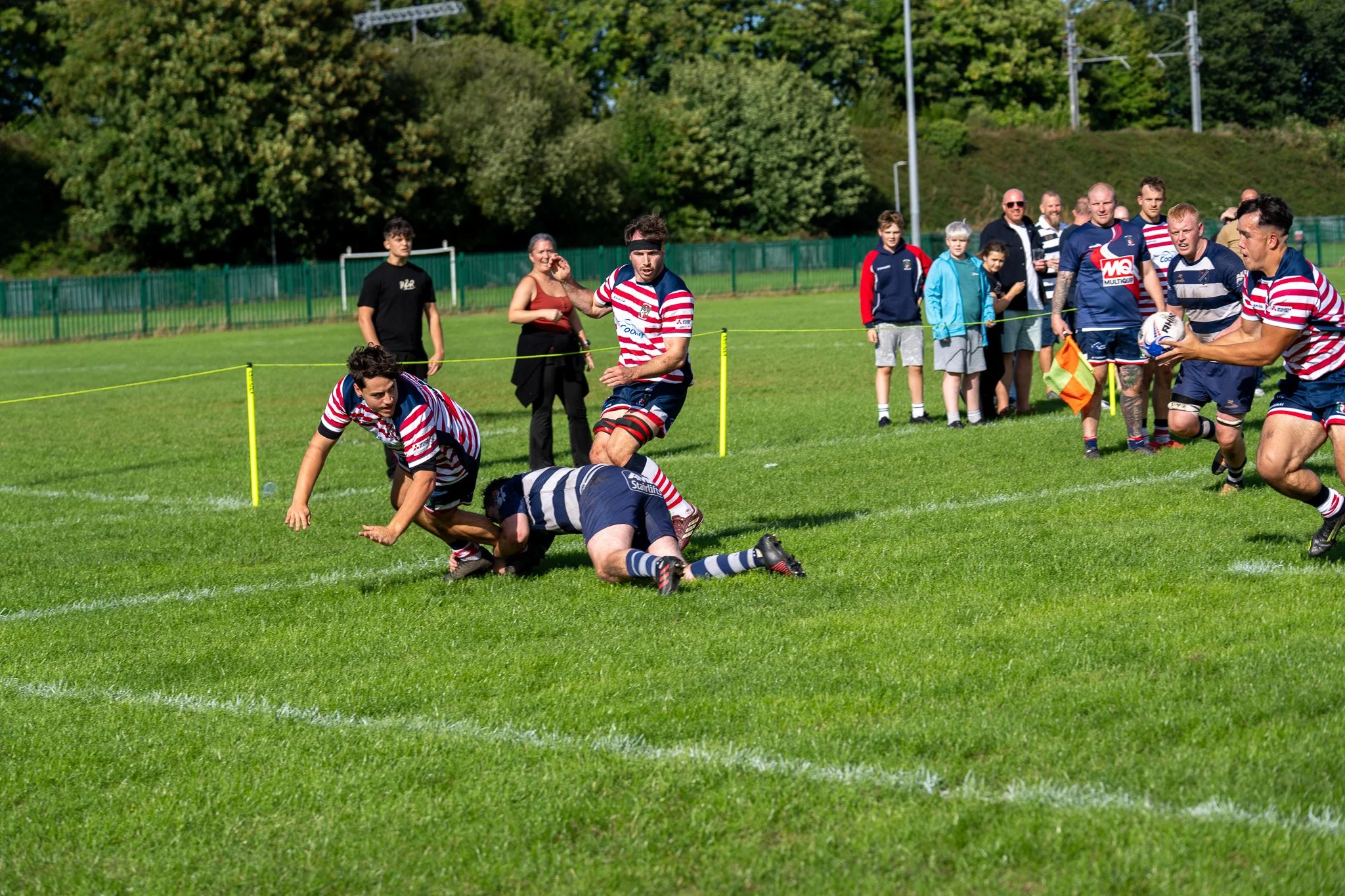 DSC02838.jpg