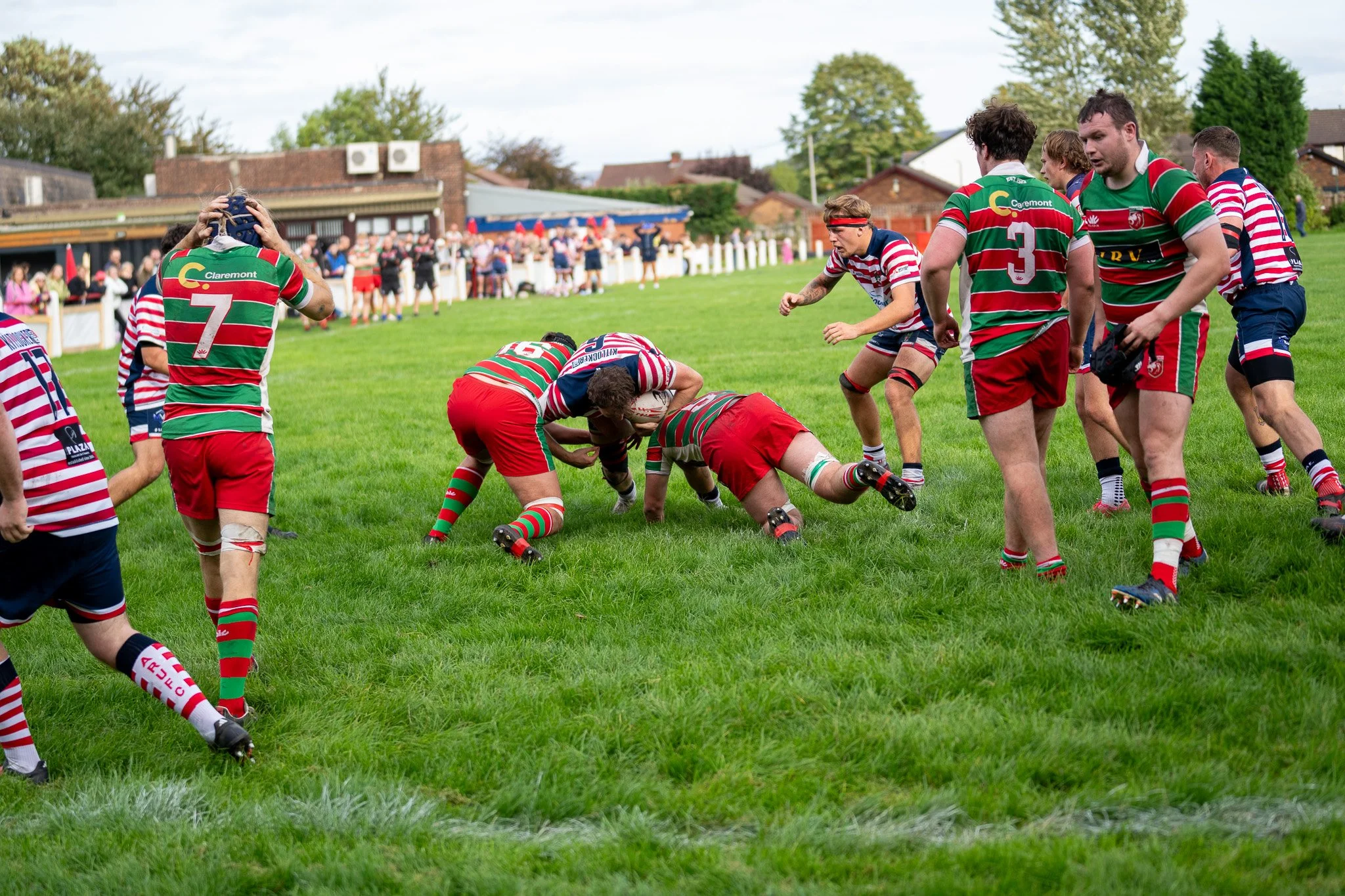 DSC03154.jpg