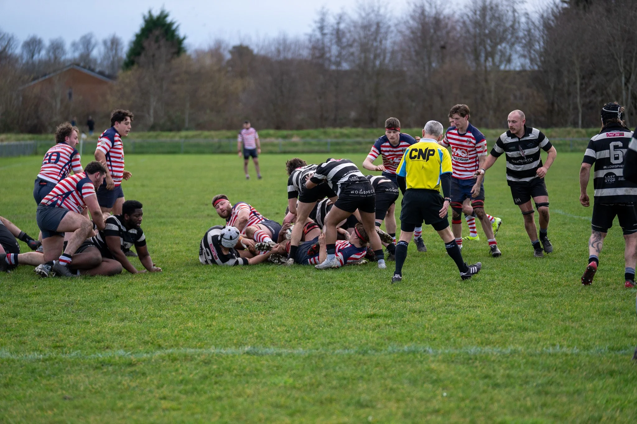 DSC07754.jpg