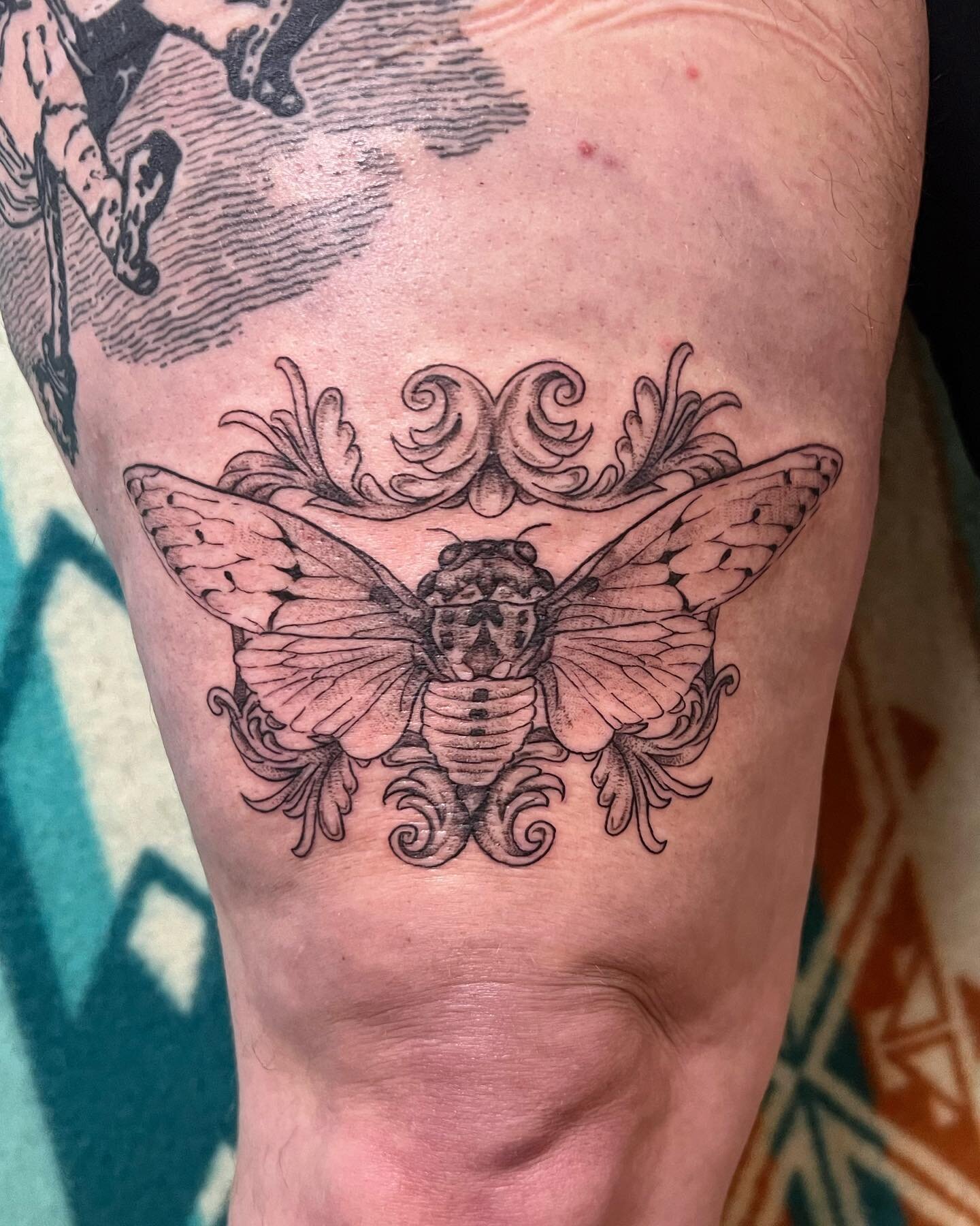 Cicada flash for a rad client 💖 I&rsquo;m so grateful for every person who gets flash from me! Excited to do more bugs 🐞 I&rsquo;m definitely going to keep posting flash  when my books open up, and then next round I won&rsquo;t be drawing them the 