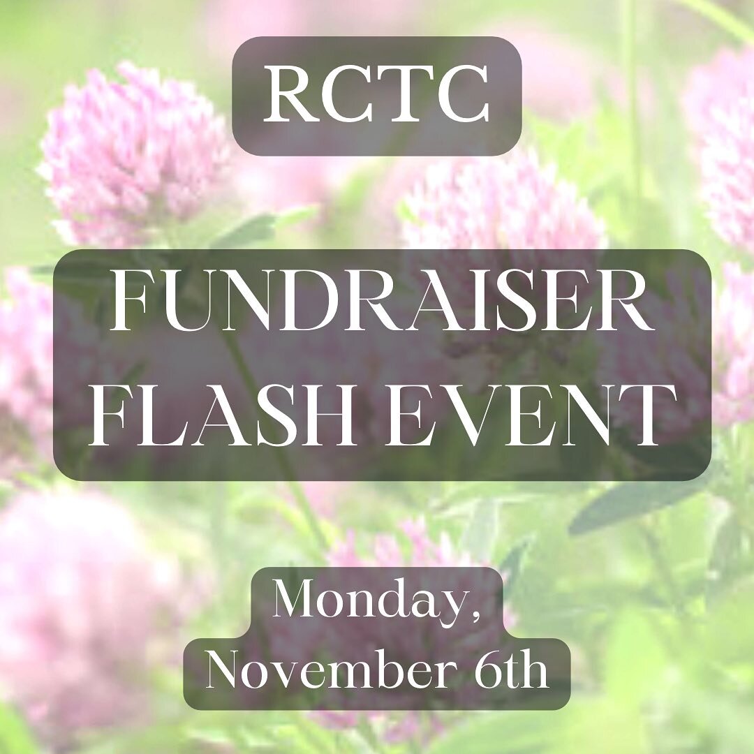 .
☘️Red Clover Tattoo Collective will be hosting a flash event on Nov 6!
☘️The full price from the flash tattoos will be donated to aid a local BIPOC family in need of legal representation
☘️Those who cannot get a tattoo, but still wish to donate can