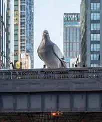 pigeon.jpg
