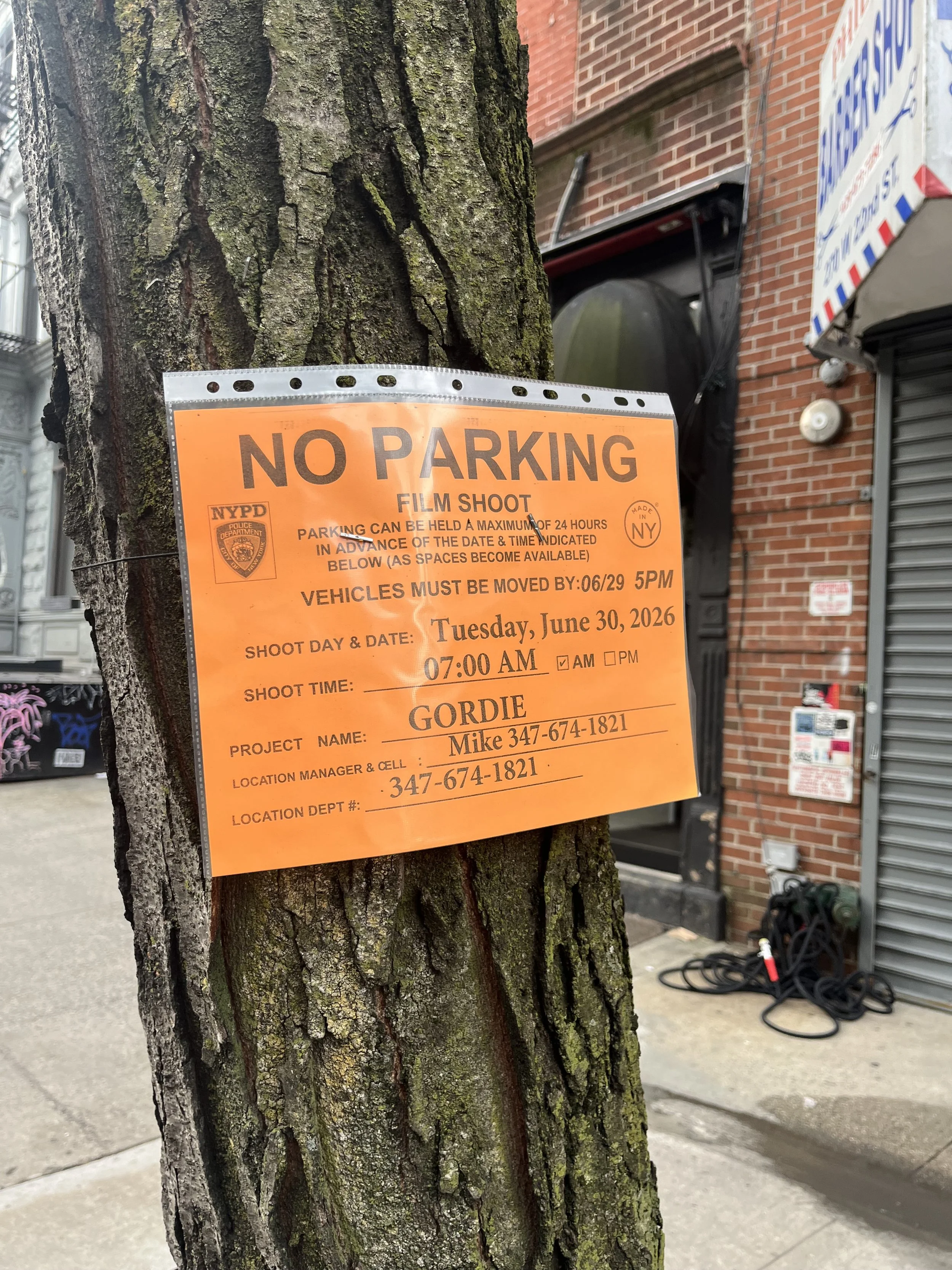 New mockumentary TV series called “Gordie” filming on neighboring Chelsea block