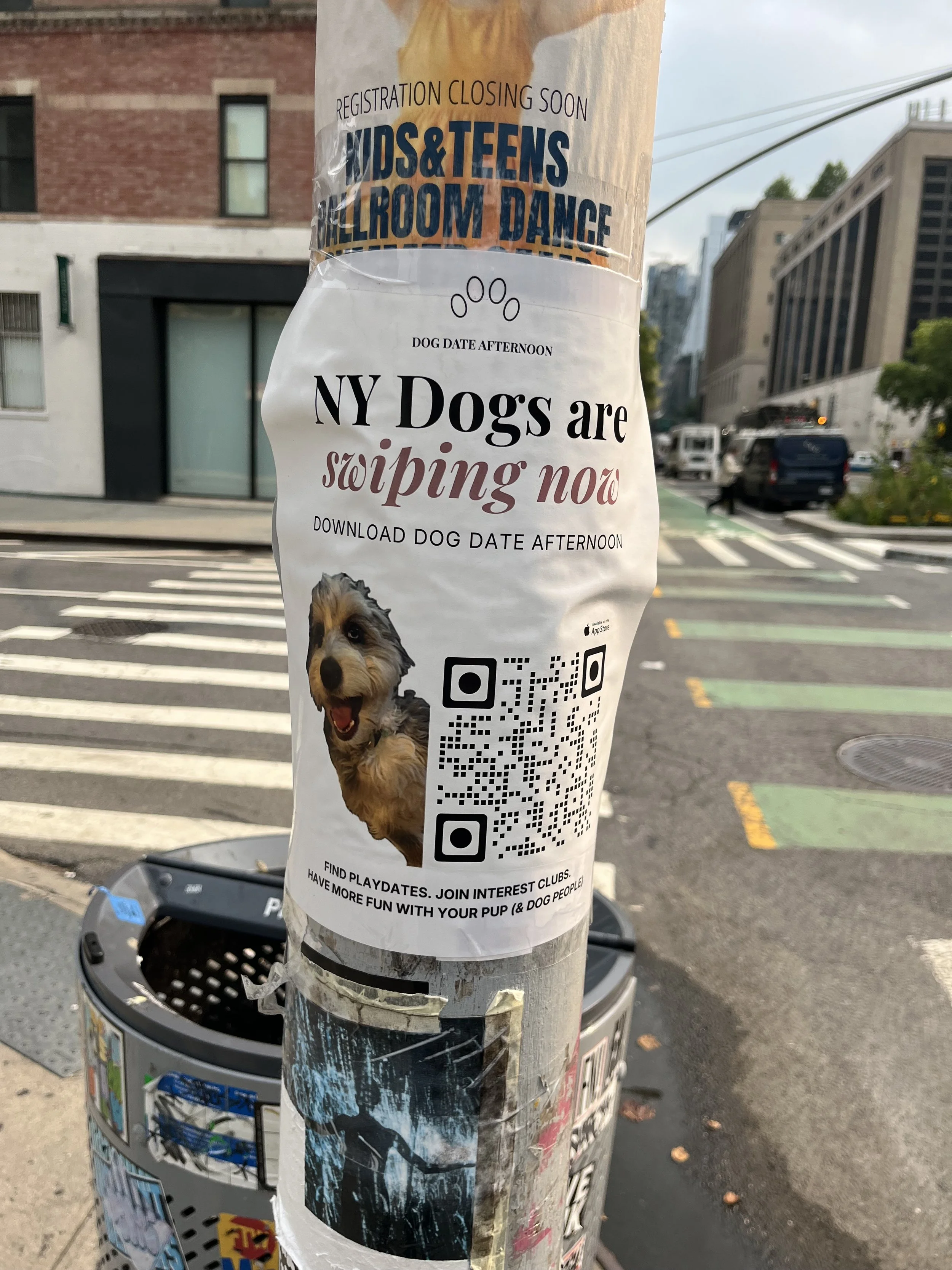 The loneliness epidemic goes all the way down (to the dogs)