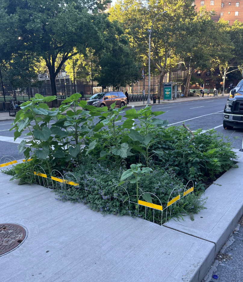 Tree pits around 28th &amp; 10th currently being transformed into little urban oases