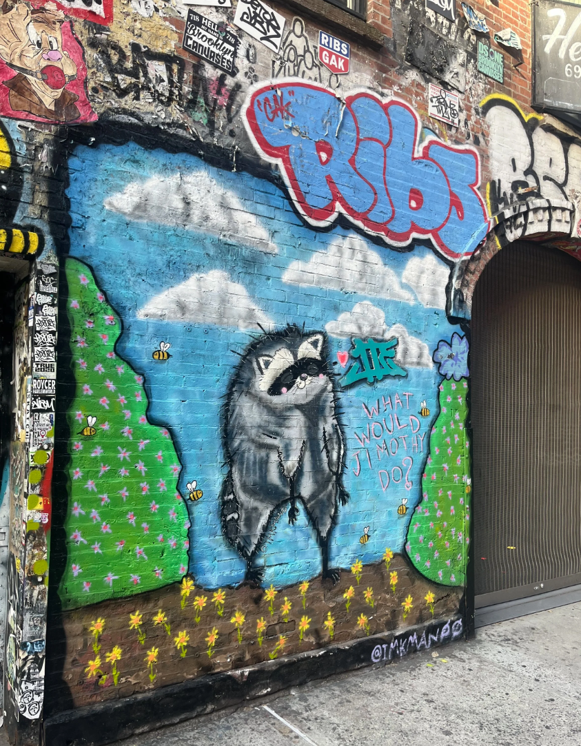 raccoon.png