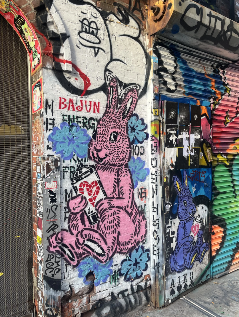 bunny.png
