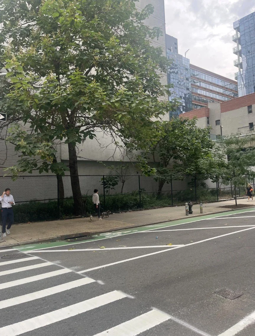 About that vacant, sometimes lush lot on 29th Street &amp; 10th Avenue